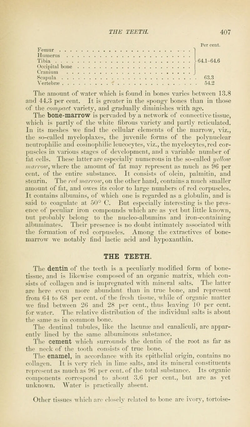 Per cent. Femur ) Humerus Tilda [64.1-64.6 < tecipital bone Cranium J Scapula 63.3 Vertebra? 54.2 The amount of water which is found in bones varies between 13.8 and 44.3 per cent. It is greater in the spongy bones than in those of the compact variety, and gradually diminishes with age. The bone-marrow is pervaded by a network of connective tissue, which is partly of the white fibrous variety and partly reticulated. In its meshes we find the cellular elements of the marrow, viz., the so-called myeloplaxes, the juvenile forms of the polynuclear neutrophilic and eosinophilic leucocytes, viz., the myelocytes,red cor- puscle- in various stages of development, and a variable number of till cells. These latter are especially numerous in the so-called yellow marrow, where the amount of fat may represent as much as 96 per cent, of the entire substance. It consists of olein, palmitin, and stearin. The red marrow, on the other hand, contains a much smaller amount of fat, and owes its color to large numbers of red corpuscles. It contains albumins, of which one is regarded as a globulin, and is said to coagulate at 50° C. But especially interesting is the pres- ence of peculiar iron compounds which arc as yet but little known, but probably belong to the nucleo-albumins and iron-containing albuminates. Their presence is no doubt intimately associated with the formation of red corpuscles. Among the extractives of bone- marrow we notably find lactic acid and hypoxanthin. THE TEETH. The dentin of the teeth is a peculiarly modified form of bone- tissue, and is likewise composed of an organic matrix, which con- sists of collagen and is impregnated with mineral salts. The latter are here even more abundant than in true bone, and represent from 64 to 68 per cent, of the fresh tissue, while of organic matter we find between 26 and 28 per cent., thus leaving 10 per cent, for water. The relative distribution of the individual salts is about tin1 same as in common bone. The dentinal tubules, like the lacuna? and caualiculi, are appar- ently lined by the same albuminous substance. The cement which surrounds the dentin of the root as far as the nek of the tooth consists of true bone. The enamel, in accordance with its epithelial origin, contains no collagen. It is very rich in lime salts, and its mineral constituents represenl as much as 96 per cent, of the total substance. Its organic components correspond to about 3.6 per cent., but are as yet unknown. Water is practically absent. Other tissues which are closely related to bone are ivory, tortoise-