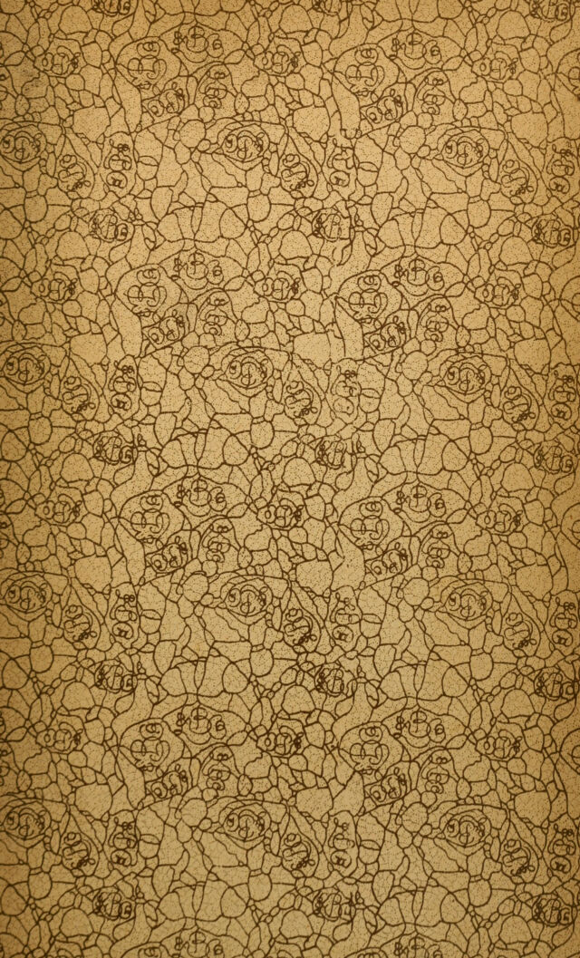 No text description is available for this image