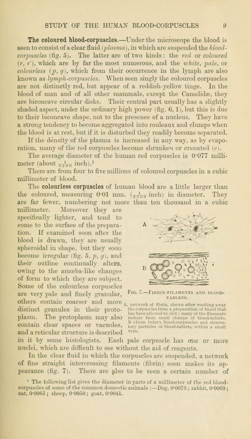 The coloured blood-corpuscles.—Under the microscope the blood is seen to consist of a clear fluid (plasma I, in which are suspended the blood- corpuscles (tig. 5). The latter are of two kinds: the red ox coloured (r, r'), which are by far the most numerous, and the white, pale, or colourless (p, g), which from their occurrence in the lymph are also known as lymph-corpuscles. When seen singly the coloured corpuscles are not distinctly red, but appear of a reddish-yellow tinge. In the blood of man and of all other mammals, except the Camelida?, they are biconcave circular disks. Their central part usually has a slightly shaded aspect, under the ordinary high power (fig. 6, 1), but this is due to their biconcave shape, not to the presence of a nucleus. They have a strong tendency to become aggregated into rouleaux and clumps when the blood is at rest, but if it is disturbed they readily become separated. If the density of the plasma is increased in any way, as by evapo- ration, many of the red corpuscles become shrunken or crenated (c). The average diameter of the human red corpuscles is 0'077 milli- meter (about 3oVo inch).1 There are from four to five millions of coloured corpuscles in a cubic millimeter of blood. The colourless corpuscles of human blood are a little larger than the coloured, measuring O01 mm. (a -^ 0- inch > in diameter. They are far fewer, numbering not more than ten thousand in a cubic millimeter. Moreover they are specifically lighter, and tend to come to the surface of the prepara- tion. If examined soon after the blood is drawn, they are usually spheroidal in shape, but they soon become irregular (fig. 5, p, g), and their outline continually alters, owing to the amoeba-like changes of form to which they are subject. Some of the colourless corpuscles are very pale and finely granular, FlG- ?•—Fibris-filaments and blood- • L J & TABLETS. others contain coarser and more , na*„„v ~* «v™„ -i ™„ ,«„ i • A. network of fibrin, shown after waslnnp away distinct granules in their protO- the corpuscles from a preparation of bl Ittaat , . L has been allowed to clot; many of the fil plasm. lhe protoplasm may also radiate from small clumps of bl 1-1 i. • , _i_____ i B (from Osier), blood-corpuscles and elei Contain Clear spaces or vacuoles, tary particles or blood-tablets, within a small and a reticular structure is described vem> in it by some histologists. Each pale corpuscle has one or more nuclei, which are difficult to see without the aid of reagents. In the clear fluid in which the corpuscles are suspended, a network of fine straight intercrossing filaments (fibrin) soon makes its ap- pearance (fig. 7). There are also to be seen a certain number of 1 The following list gives the diameter in parts of a millimeter of the red blood- oorpusclea of some of the common domestic animals :—Dog, OOUTo ; rabbit, U0009; cat, 0-0005 ; sheep, 0-UOoU ; goat, 00U41.