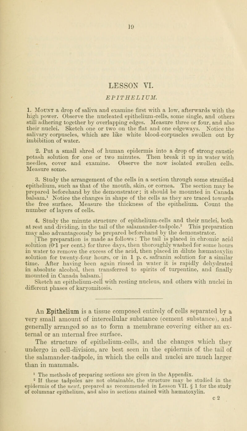 LESSON VI. EPITHELIUM. 1. Mount a drop of saliva and examine first with a low, afterwards with the high power. Observe the nucleated epithelium-cells, some single, and others still adhering together by overlapping edges. Measure three or four, and also their nuclei. Sketch one or two on the flat and one edgeways. Notice the salivary corpuscles, which are like white blood-corpuscles swollen out by imbibition of water. 2. Put a small shred of human epidermis into a drop of strong caustic potash solution for one or two minutes. Then break it up hi water with needles, cover and examine. Observe the now isolated swollen cells. Measure some. 3. Study the arrangement of the cells in a section through some stratified epithelium, such as that of the mouth, skin, or cornea. The section may be prepared beforehand by the demonstrator; it should be mounted in Canada balsam.1 Notice the changes in shape of the cells as they are traced towards the free surface. Measure- the thickness of the epithelium. Count the number of layers of cells. 4. Study the minute structure of epithelium-cells and their nuclei, both at rest and dividing, hi the tail of the salamander-tadpole.2 This preparation may also advantageously be prepared beforehand by the demonstrator. [The preparation is made as follows: The tail is placed in chromic acid solution (0-l per cent.) for three days, then thoroughly washed for some hours in water to remove the excess of the acid, then placed in dilute hematoxylin solution for twenty-four hours, or in 1 p. c. safranin solution for a similar time. After having been again rinsed in water it is rapidly dehydrated in absolute alcohol, then transferred to spirits of turpentine, and finally mounted in Canada balsam.] Sketch an epithelium-cell with resting nucleus, and others with nuclei in different phases of karyornitosis. An Epithelium is a tissue composed entirely of cells separated by a very small amount of intercellular substance (cement substancei, and generally arranged so as to form a membrane covering either an ex- ternal or an internal free surface. The structure of epithelium-cells, and the changes which they undergo in cell-division, are best seen in the epidermis of the tail of the salamander-tadpole, in which the cells and nuclei are much larger than in mammals. 1 The methods of preparing sections are given in the Appendix. • If these tadpoles are not obtainable, the structure may be studied in the epidermis of the newt, prepared as recommended in Lesson VII. § 1 for the study of columnar epithelium, and also in sections stained with hematoxylin. c2