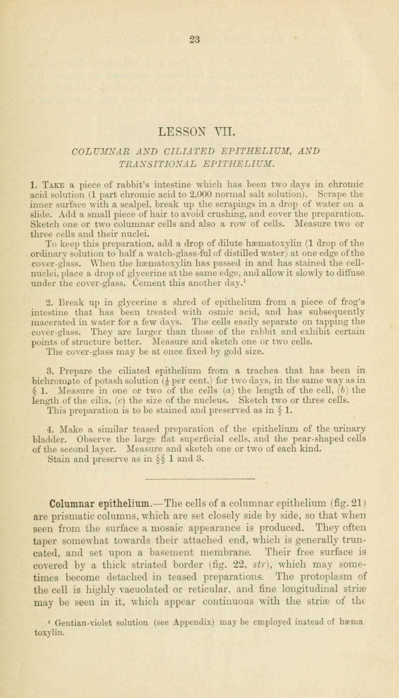 LESSON VII. COLUMNAE AXD CILIATED EPITHELIUM, AXD TRANSITION A L E PIT HE LIUM. 1. Take a piece of rabbit's intestine which has been two days in chromic acid solution (1 part chromic acid to 2.000 normal salt solution). Scrape the inner surface with a scalpel, break up the scrapings in a chop of water on a slide. Add a small piece of hair to avoid crushing, and cover the preparation. Sketch one or two columnar cells and also a row of cells. Measure two or three cells and their nuclei. To keep this preparation, add a drop of dilute haernatoxylin (1 drop of the ordinary solution to half a watch-glass-ful of distilled water) at one edge of the cover-glass. When the hematoxylin has passed in and has stained the cell- nuclei, place a drop of glycerine at the same edge, and allow it slowly to diffuse under the cover-glass. Cement this another day.1 2. Break up in glycerine a shred of epithelium from a piece of frog's intestine that has been treated with osrnic acid, and has subsequently macerated in water for a few days. The cells easily separate on tapping the cover-glass. They are larger than those of the rabbit and exhibit certain points of structure better. Measure and sketch one or two cells. The cover-glass may be at once fixed by gold size. 3. Prepare the ciliated epithelium from a trachea that has been in bichromate of potash solution (£per cent.) for two days, in the same way as in § 1. Measure in one or two of the cells (a) the length of the cell. (6 the length of the cilia, [c) the size of the nucleus. Sketch two or three cells. This preparation is to be stained and preserved as in § 1. 4. Make a similar teased preparation of the epithelium of the urinary bladder. Observe the large flat superficial cells, and the pear-shaped cells of the second layer. Measure and sketch one or two of each kind. Stain and preserve as in §§ 1 and 3. Columnar epithelium.—The cells of a columnar epithelium (fig. 21) are prismatic columns, which are set closely side by side, so that when seen from the surface a mosaic appearance is produced. They often taper somewhat towards their attached end, which is generally trun- cated, and set upon a basement membrane. Their free surface is covered by a thick striated border (fig. 22, str), which may some- times become detached in teased preparations. The protoplasm of the cell is highly vacuolated or reticular, and fine longitudinal stria? may be seen in it, which appear continuous with the stria3 of th* 1 Gentian-violet solution (see Appendix) maybe employed instead of ha-ma toxylin.