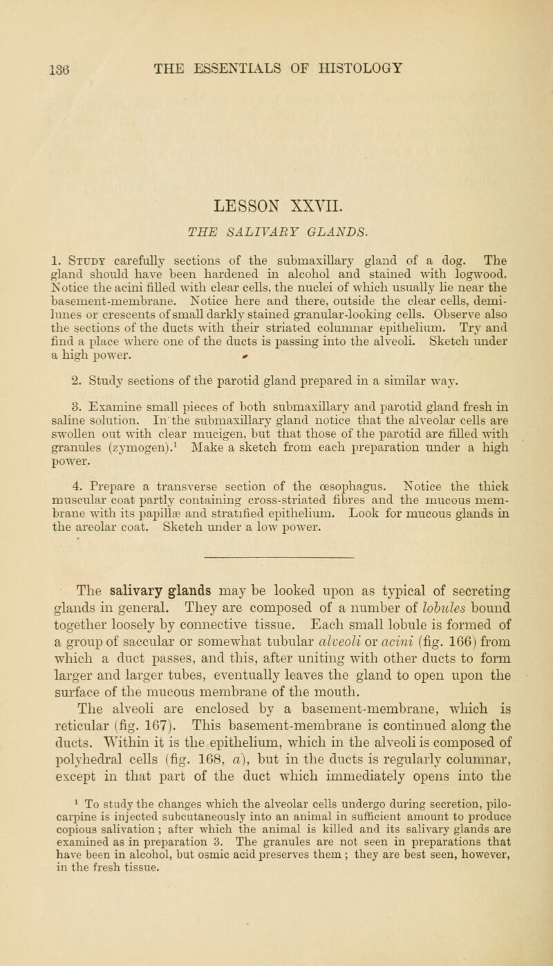 LESSON XXVII. THE SALIVARY GLANDS. 1. Study carefully sections of the submaxillary gland of a dog. The gland should have been hardened in alcohol and stained with logwood. Notice the acini filled with clear cells, the nuclei of which usually he near the basement-membrane. Notice here and there, outside the clear ceUs. demi- lunes or crescents of small darkly stained granular-looking cells. Observe also the sections of the ducts with their striated columnar epithelium. Try and find a place where one of the ducts is passing into the alveoli. Sketch under a high power. «■ 2. Study sections of the parotid gland prepared in a similar way. 3. Examine small pieces of both submaxillary and parotid gland fresh in saline solution. In the submaxillary gland notice that the alveolar cells are swollen out with clear mucigen. but that those of the parotid are filled with gramdes (zymogen).1 Make a sketch from each preparation under a high power. 4. Prepare a transverse section of the oesophagus. Notice the thick muscular coat partly containing cross-striated fibres and the mucous mem- brane with its papillae and stratified epithelium. Look for mucous glands in the areolar coat. Sketch under a low power. The salivary glands may be looked upon as typical of secreting glands in general. They are composed of a number of lobules bound together loosely by connective tissue. Each small lobule is formed of a group of saccular or somewhat tubular alveoU or acini (fig. 166) from which a duct passes, and this, after uniting with other ducts to form larger and larger tubes, eventually leaves the gland to open upon the surface of the mucous membrane of the mouth. The alveoli are enclosed by a basement-membrane, which is reticular (fig. 167). This basement-membrane is continued along the ducts. Within it is the epithelium, which in the alveoli is composed of polyhedral cells (fig. 168, a), but in the ducts is regularly columnar, except in that part of the duct which immediately opens into the 1 To study the changes which the alveolar cells undergo during secretion, pilo- carpine is injected subcutaneously into an animal in sufficient amount to produce copious salivation ; after which the animal is killed and its salivary glands are examined as in preparation 3. The granules are not seen in preparations that have been in alcohol, but osrnic acid preserves them ; they are best seen, however, in the fresh tissue.