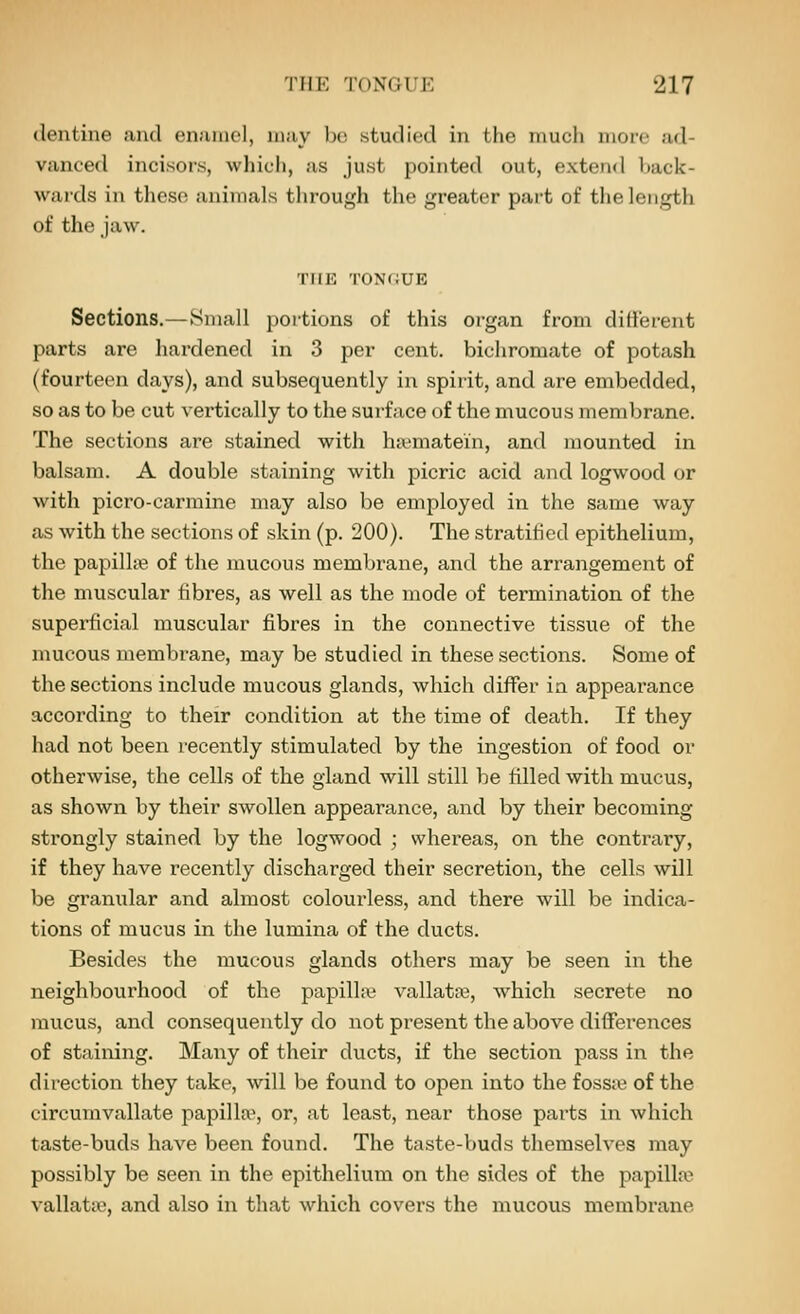 dentine and enamel, may l)e studied in the much more ad- vanced incisors, whicli, as just pointed out, extend back- wards in these animals through the greater part of the length of the jaw. THE TONCUE Sections,—Small portions of this organ from dillerent parts are hardened in 3 per cent, bichromate of potash (fourteen days), and subsequently in spirit, and are embedded, so as to be cut vertically to the surface of the mucous membrane. The sections are stained with ha^matein, and mounted in balsam. A double staining with picric acid and logwood or with picro-carmine may also be employed in the same way as with the sections of skin (p. 200). The stratified epithelium, the papillje of the mucous membrane, and the arrangement of the muscular fibres, as well as the mode of termination of the superficial muscular fibres in the connective tissue of the mucous membrane, may be studied in these sections. Some of the sections include mucous glands, which differ in appearance according to their condition at the time of death. If they had not been recently stimulated by the ingestion of food or otherwise, the cells of the gland will still be tilled with mucus, as shown by their swollen appearance, and by their becoming strongly stained by the logwood ; whereas, on the contrary, if they have recently discharged their secretion, the cells will be granular and almost colourless, and there will be indica- tions of mucus in the lumina of the ducts. Besides the mucous glands others may be seen in the neighbourhood of the papilhe vallatte, which secrete no mucus, and consequently do not present the above differences of staining. Many of their ducts, if the section pass in the direction they take, will be found to open into the fossa; of the circumvallate papilla^, or, at least, near those parts in which taste-buds have been found. The taste-buds themselves may possibly be seen in the epithelium on the sides of the papillaj vallatie, and also in that which covers the mucous membrane