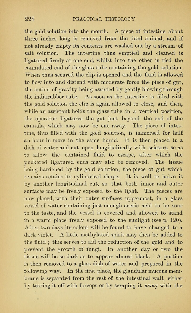 the gold solution into the mouth. A piece of intestine about three inches long is removed from the dead animal, and if not already empty its contents are washed out by a stream of salt solution. The intestine thus emptied and cleaned is ligatured firmly at one end, whilst into the other is tied the cannulated end of the glass tube containing the gold solution. When thus secured the clip is opened and the fluid is allowed to flow into and distend with moderate force the piece of gut, the action of gravity being assisted by gently blowing through the indiarubber tube. As soon as the intestine is filled with the gold solution the clip is again allowed to close, and then^ while an assistant holds the glass tube in a vertical position, the operator ligatures the gut just beyond the end of the cannula, which may now be cut away. The piece of intes- tine, thus filled with the gold solution, is immersed for half an hour in more in the same liquid. It is then placed in a dish of water and cut open longitudinally with scissors, so as to allow the contained fluid to escape, after which the puckered ligatured ends may also be removed. The tissue being hardened by the gold solution, the piece of gut which remains retains its cylindrical shape. It is well to halve it by another longitudinal cut, so that both inner and outer surfaces may be freely exposed to the light. The pieces are now placed, with their outer surfaces uppermost, in a glass vessel of water containing just enough acetic acid to be sour to the taste, and the vessel is covered and allowed to stand in a warm place freely exposed to the sunlight (see p. 120). After two days its colour will be found to have changed to a dark violet. A little methylated spirit may then be added ta the fluid ; this serves to aid the reduction of the gold and to prevent the growth of fungi. In another day or two the tissue will be so dark as to appear almost black. A portion is then removed to a glass dish of water and prepared in the following way. In the first place, the glandular mucous mem- brane is sepai'ated from the rest of the intestinal wall, either by tearing it off with forceps or by scraping it away with the