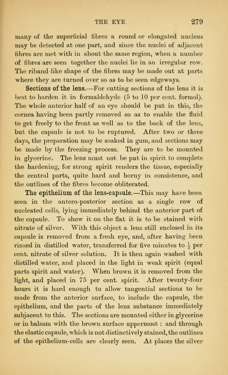 many of the superficial fibres a round or elongated nucleus may be detected at one part, and since the nuclei of adjacent fibres are met with in about the same region, when a number of fibres are seen together the nuclei lie in an irregular row. The riband like shape of the fibres may be made out at parts where they are turned over so as to be seen edgeways. Sections of the lens.—For cutting sections of the lens it is best to harden it in formaldehyde (5 to 10 per cent, formol). The whole anterior half of an eye should be put in this, the cornea having been partly removed so as to enable the fluid to get freely to the front as well as to the back of the lens, but the capsule is not to be ruptured. After two or three days, the preparation may be soaked in gum, and sections may be made by the freezing process. They are to be mounted in glycerine. The lens must not be put in spirit to complete the hardening, for strong spirit renders the tissue, especially the central parts, quite hard and horny in consistence, and the outlines of the fibres become obliterated. The epithelium of the lens-capsule.—This may have been seen in the antero-posterior section as a single row of nucleated cells, lying immediately behind the anterior part of the capsule. To show it on the flat it is to be stained with nitrate of silver. With this object a lens still enclosed in its capsule is removed from a fresh eye, and, after having been rinsed in distilled water, transferred for five minutes to h per cent, nitrate of silver solution. It is then again washed with distilled water, and placed in the light in weak spirit (equal parts spirit and water). When brown it is removed from the light, and placed in 75 per cent, spirit. After twenty-four hours it is hard enough to allow tangential sections to be made from the anterior surface, to include the capsule, the epithelium, and the parts of the lens substance immediately subjacent to this. The sections are mounted either in glycerine or in balsam with the brown surface uppermost : and through the elastic capsule, which is not distinctively stained, the outlines of the epithelium-cells are clearly seen. At places the silver