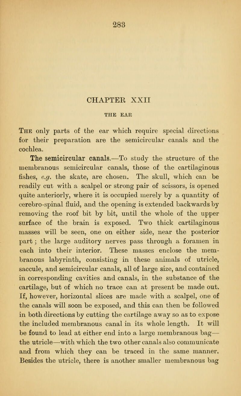 CHAPTER XXII THE EAR The only parts of the ear which require special directions for their preparation are the semicircular canals and the cochlea. The semicircular canals.—To study the structure of the membranous semicircular canals, those of the cartilaginous fishes, e.g. the skate, are chosen. The skull, which can be readily cut with a scalpel or strong pair of scissors, is opened quite anteriorly, where it is occupied merely by a quantity of cerebro-spinal fluid, and the opening is extended backwards by removing the roof bit by bit, until the whole of the upper surface of the brain is exposed. Two thick cartilaginous masses will be seen, one on either side, near the posterior part; the large auditory nerves pass through a foramen in each into their interior. These masses enclose the mem- branous labyrinth, consisting in these animals of utricle, saccule, and semicircular canals, all of large size, and contained in corresponding cavities and canals, in the substance of the cartilage, but of which no trace can at present be made out. If, however, horizontal slices are made with a scalpel, one of the canals will soon be exposed, and this can then be followed in both directions by cutting the cartilage away so as to expose the included membranous canal in its whole length. It will be found to lead at either end into a large membranous bag— the utricle—with which the two other canals also communicate and from which they can be traced in the same manner. Besides the utricle, there is another smaller membranous bag