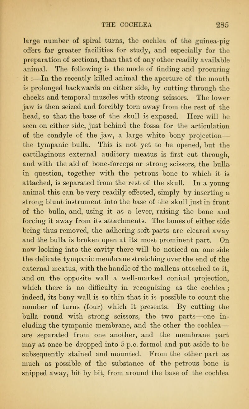 large number of spiral turns, the cochlea of the guinea-pig offers far greater facilities for study, and especially for the preparation of sections, than that of any other readily available animal. The following is the mode of finding and procuring it :—In the recently killed animal the aperture of the mouth is prolonged backwards on either side, by cutting through the cheeks and temporal muscles with strong scissors. The lower jaw is then seized and forcibly torn away from the rest of the head, so that the base of the skull is exposed. Here will be seen on either side, just behind the fossa for the articulation of the condyle of the jaw, a large white bony projection — the tympanic bulla. This is not yet to be opened, but the cartilaginous external auditory meatus is first cut through, and with the aid of bone-forceps or strong scissors, the bulla in question, together with the petrous bone to which it is attached, is separated from the rest of the skull. In a young animal this can be very readily effected, simply by inserting a strong blunt instrument into the base of the skull just in front of the bulla, and, using it as a lever, raising the bone and forcing it away from its attachments. The bones of either side being thus removed, the adhering soft parts are cleared away and the bulla is broken open at its most prominent part. On now looking into the cavity there will be noticed on one side the delicate tympanic membrane stretching over the end of the external meatus, with the handle of the malleus attached to it, and on the opposite wall a well-marked conical projection, which there is no difficulty in recognising as the cochlea ; indeed, its bony wall is so thin that it is possible to count the number of turns (four) which it presents. By cutting the bulla round with strong scissors, the two parts—one in- cluding the tympanic membrane, and the other the cochlea— are separated from one another, and the membrane part may at once be dropped into 5 p.c. formol and put aside to be subsequently stained and mounted. From the other part as much as possible of the substance of the petrous bone is snipped away, bit by bit, from around the base of the cochlea