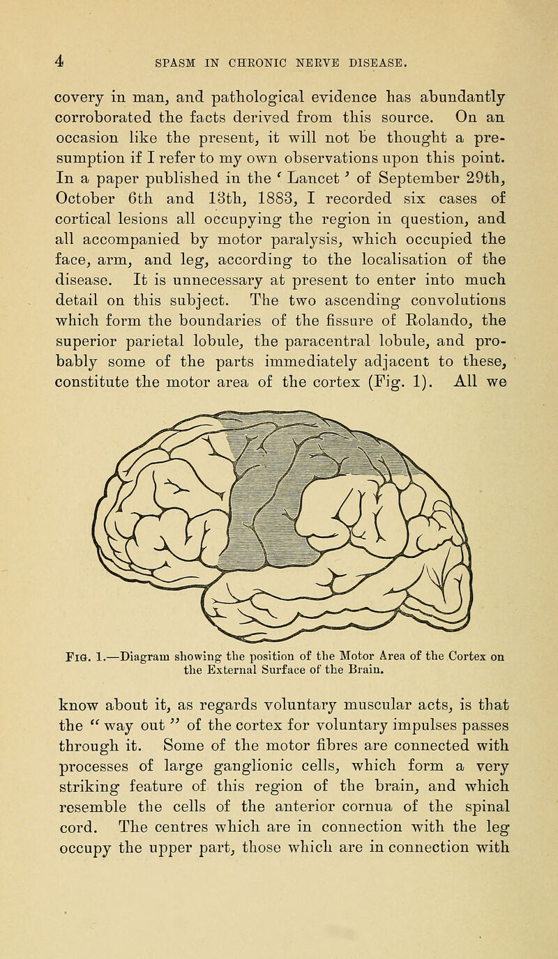 covery in man^ and patliological evidence has abundantly corroborated tbe facts derived from tliis source. On an occasion like the present, it will not be thought a pre- sumption if I refer to my own observations upon this point. In a paper published in the ' Lancet' of September 29th, October 6th and 18th, 1883, I recorded six cases of cortical lesions all occupying the region in question, and all accompanied by motor paralysis, which occupied the face, arm, and leg, according to the localisation of the disease. It is unnecessary at present to enter into much detail on this subject. The two ascending convolutions which form the boundaries of the fissure of Rolando, the superior parietal lobule, the paracentral lobule, and pro- bably some of the parts immediately adjacent to these, constitute the motor area of the cortex (Fig. 1). All we Fig. 1.—Diagram showing the position of the Motor Area of the Cortex on the External Surface of the Brain. know about it, as regards voluntary muscular acts, is that the  way out  of the cortex for voluntary impulses passes through it. Some of the motor fibres are connected with processes of large ganglionic cells, which form a very striking feature of this region of the brain, and which resemble the cells of the anterior cornua of the spinal cord. The centres which are in connection with the leg occupy the upper part, those which are in connection with