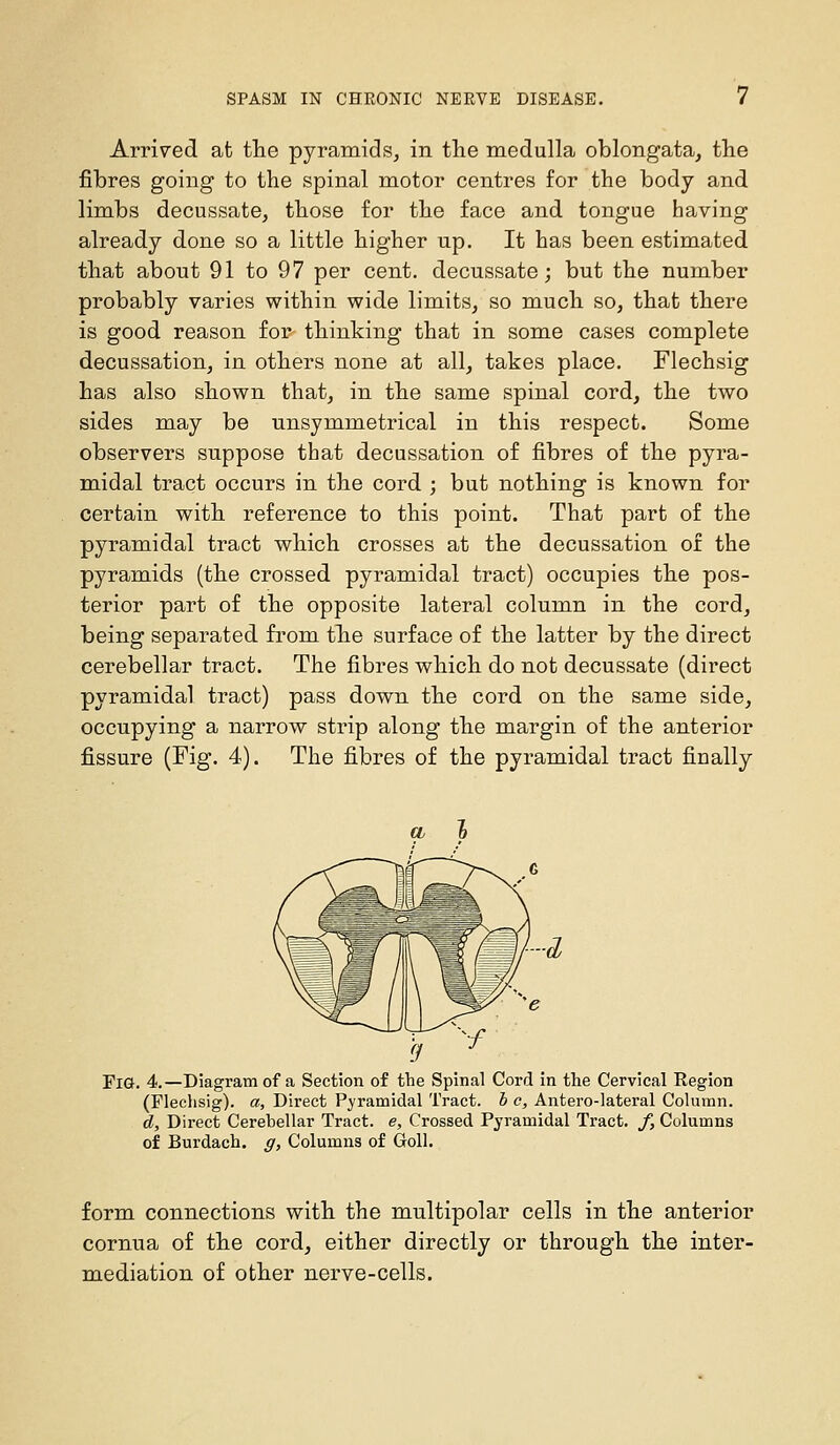 Arrived at the pyramids, in the medulla oblongata, the fibres going to the spinal motor centres for the body and limbs decussate, those for the face and tongue having already done so a little higher up. It has been estimated that about 91 to 97 per cent, decussate; but the number probably varies within wide limits, so much so, that there is good reason for thinking that in some cases complete decussation, in. others none at all, takes place. Flechsig has also shown that, in the same spinal cord, the two sides may be unsymmetrical in this respect. Some observers suppose that decussation of fibres of the pyra- m.idal tract occurs in the cord ; but nothing is known for certain with reference to this point. That part of the pyramidal tract which crosses at the decussation of the pyramids (the crossed pyramidal tract) occupies the pos- terior part of the opposite lateral column in the cord, being separated from the surface of the latter by the direct cerebellar tract. The fibres which do not decussate (direct pyramidal tract) pass down the cord on the same side, occupying a narrow strip along the margin of the anterior fissure (Fig. 4). The fibres of the pyramidal tract finally Pi(j. 4.—Diagram of a Section of tbe Spinal Cord in the Cervical Region (Flechsig). a. Direct Pyramidal Tract, b c, Antero-lateral Column. d. Direct Cerebellar Tract, e. Crossed Pyramidal Tract. /, Columns of Burdach. g, Columns of Goll. form connections with the multipolar cells in the anterior cornua of the cord, either directly or through the inter- mediation of other nerve-cells.