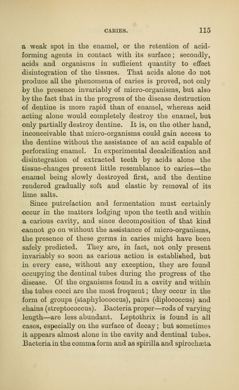 a weak spot in the enamel, or the retention of acid- forming agents in contact with its surface; secondly, acids and organisms in sufficient quantity to effect disintegration of the tissues. That acids alone do not produce all the phenomena of caries is proved, not only by the presence invariably of micro-organisms, but also by the fact that in the progress of the disease destruction of dentine is more rapid than of enamel, whereas acid acting alone w^ould completely destroy the enamel, but only partially destroy dentine. It is, on the other hand, inconceivable that micro-organisms could gain access to the dentine without the assistance of an acid capable of perforating enamel. In experimental decalcification and ■disintegration of extracted teeth by acids alone the tissue-changes present little resemblance to caries—the enamel being slowly destroyed first, and the dentine rendered gradually soft and elastic by removal of its lime salts. Since putrefaction and fermentation must certainly occur in the matters lodging upon the teeth and within a carious cavity, and since decomposition of that kind •cannot go on without the assistance of micro-organisms, the presence of these germs in caries might have been safely predicted. They are, in fact, not only present invariably so soon as carious action is established, but in every case, without any exception, they are found occupying the dentinal tubes during the progress of the disease. Of the organisms found in a cavity and within the tubes cocci are the most frequent; they occur in the form of groups (staphylococcus), pairs (diplococcus) and chains (streptococcus). Bacteria proper—rods of varying length—are less abundant. Leptothrix is found in all cases, especially on the surface of decay; but sometimes it appears almost alone in the cavity and dentinal tubes. Bacteria in the comma form and as spirilla and spirochaBta