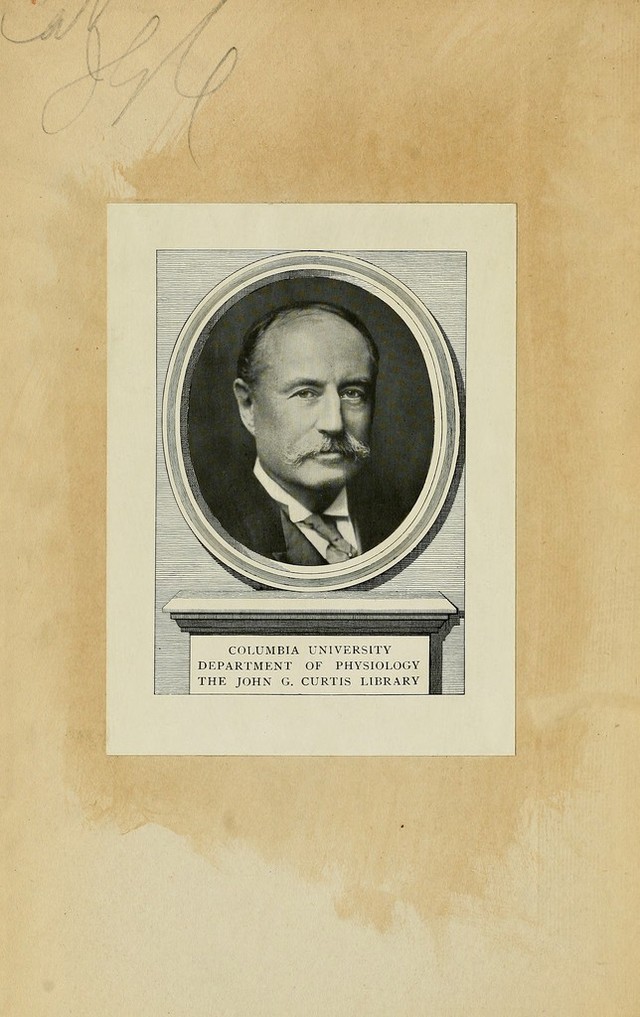 digitised image 2