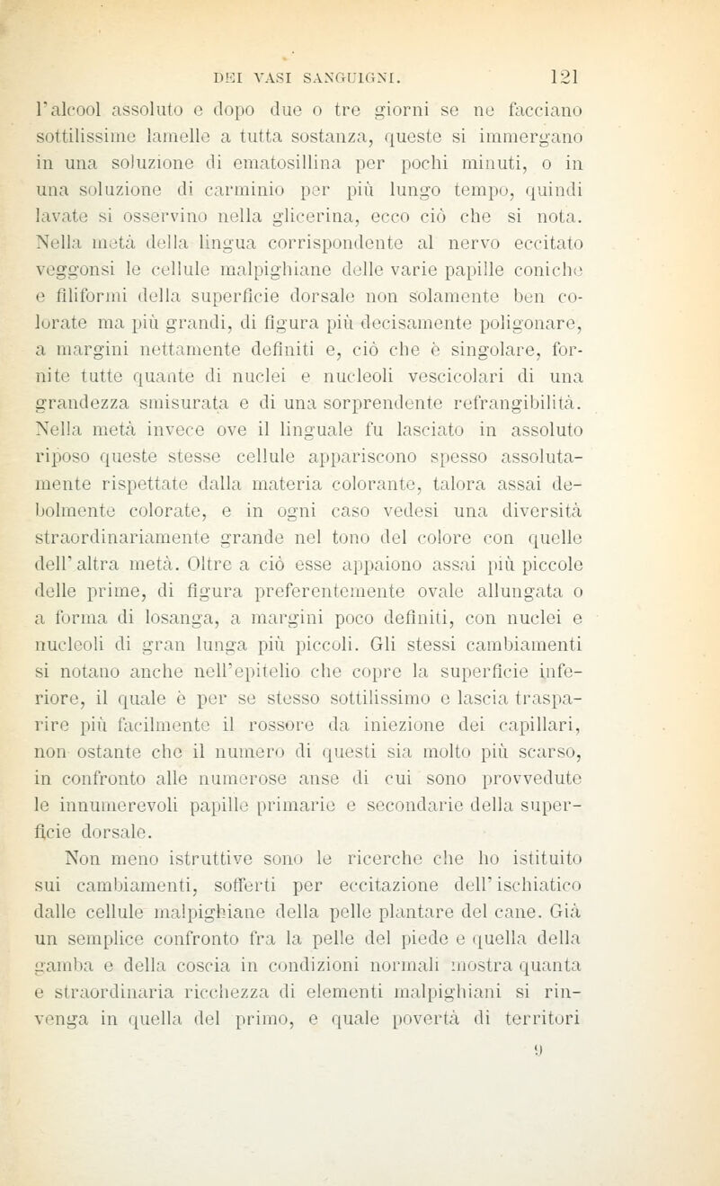 r alcool assoluto e dopo due o tre giorni se ne facciano sottilissime lamelle a tutta sostanza, queste si immergano in una soluzione di ematosillina per pochi minuti, o in una soluzione di carminio per più lungo tempo, quindi lavate si osservino nella glicerina, ecco ciò che si nota. Nella metà della lingua corrispondente al nervo eccitato veggonsi le cellule malpighiane delle varie papille coniche e filiformi della superficie dorsale non solamente ben co- lorate ma più grandi, di figura più decisamente poligonare, a margini nettamente definiti e, ciò che è singolare, for- nite tutte quante di nuclei e nucleoli vescicolari di una grandezza smisurata e di una sorprendente refrangibilità. Nella metà invece ove il linguale fu lasciato in assoluto riposo queste stesse cellule appariscono spesso assoluta- mente rispettate dalla materia colorante, talora assai de- bolmente colorate, e in ogni caso vedesi una diversità straordinariamente grande nel tono del colore con quelle dell'altra metà. Oltre a ciò esse appaiono assai più piccole delle prime, di figura preferentemente ovale allungata o a forma di losanga, a margini poco definiti, con nuclei e nucleoli di gran lunga più piccoli. Gli stessi cambiamenti si notano anche nell'epiteho che copre la superficie infe- riore, il quale è per se stesso sottilissimo e lascia traspa- rire più facilmente il rossore da iniezione dei capillari, non ostante che il iiumer(j di questi sia molto più scarso, in confronto alle numerose anse di cui sono provvedute le innumerevoli papille primarie e secondarie della super- fi,cie dorsale. Non meno istruttive sono le ricerche che ho istituito sui cambiamenti, sofferti per eccitazione dell'ischiatico dalle cellule malpighiane della pelle plantare del cane. Già un semplice confronto fra la pelle del piede e quella della gamba e della coscia in condizioni normali mostra quanta e stròiordinaria ricchezza di elementi malpighiani si rin- venga in quella del primo, e quale povertà di territori