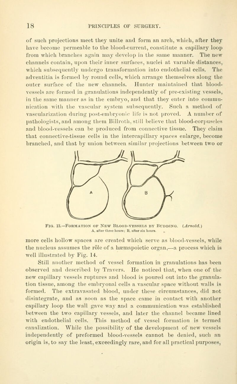 of such projections meet they unite and form an arch, which, after they have become permeal)le to the blood-current, constitute a capillary loop from which branches again may develop in the same manner. The new channels contain, upon their inner surfaces, nuclei at variable distances, which subsequently undergo transformation into endothelial cells. The adventitia is formed b}' roimd cells, which arrange themselves along the outer surface of the new channels. Hunter maintained that blood- vessels are formed in granulations independently^ of pre-existing vessels, in the same manner as in the embryo, and that they enter into commu- nication with the vascular s^-stem subsequently. Such a method of vascularization during post-embryonie life is not jjroved. A number of pathologists, and among them Billroth, still believe that blood-corpuscles and blood-vessels can be produced from connective tissue. Thej' claim that connective-tissue cells in the intercapillarj'^ spaces enlarge, become branched, and that by union between similar projections between two or Fig. 13.—Formation of New Blood-vessels by Budding. {Arnold.) A, after three hours; B, after six hours. more cells hollow spaces are created which serve as blood-vessels, while the nucleus assumes the role of a hgemapoietic organ,—a process which is well illustrated by Fig. 14. Still another method of vessel formation in granulations has been observed and described by Travers. He noticed that, when one of the new capillary vessels ruptures and blood is poured out into the granula- tion tissue, among the embr3'onal cells a vascular space without walls is formed. The extravasated blood, under these circumstances, did not disintegrate, and as soon as the space came in contact with another capillary loop the wall gave way and a communication was established between the two capillary vessels, and later the channel became lined with endothelial cells. Tliis method of vessel formation is termed canalization. While the possibility of the development of new vessels independently of preformed blood-vessels cannot be denied, such an origin is, to say the least, exceedingly rare, and for all practical purposes,