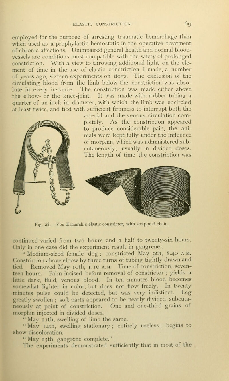employed for the purpose of arresting traumatic hemorrhage than when used as a prophylactic hemostatic in the operative treatment of chronic affections. Unimpaired general health and normal blood- vessels are conditions most compatible with the safety of prolonged constriction. With a view to throwing additional light on the ele- ment of time in the use of elastic constriction I made, a number of years ago, sixteen experiments on dogs. The exclusion of the circulating blood from the limb below the constriction was abso- lute in eveiy instance. The constriction was made either above the elbow- or the knee-joint. It was made with rubber tubing a quarter of an inch in diameter, with which the limb was encircled at least twice, and tied with sufficient firmness to interrupt both the arterial and the venous circulation com- pletely. As the constriction appeared to produce considerable pain, the ani- mals were kept fully under the influence of morphin, which was administered sub- cutaneousl)', usually in divided doses. The length of time the constriction was Fig. 28.—Von Esmarch's elastic constrictor, with strap and cliain. continued varied from two hours and a half to twenty-six hours. Only in one case did the experiment result in gangrene :  Medium-sized female dog ; constricted May 9th, 8.40 a.m. Constriction above elbow by three turns of tubing tightly drawn and tied. Removed May loth, 1.10 a.m. Time of constriction, .seven- teen hours. Palm incised before removal of constrictor ; yields a little dark, fluid, venous blood. In ten minutes blood becomes somewhat lighter in color, but does not flow freely. In twenty minutes pulse could be detected, but was very indistinct. Leg greatly swollen ; soft parts appeared to be nearly divided subcuta- neou.sly at point of con.striction. One and one-third grains of morphin injected in divided doses.  May I ith, swelling of limb the same. May 14th, swelling stationary; entirely useless; begins to show discoloration. May 15th, gangrene complete. The experiments demonstrated sufficiently that in most of the