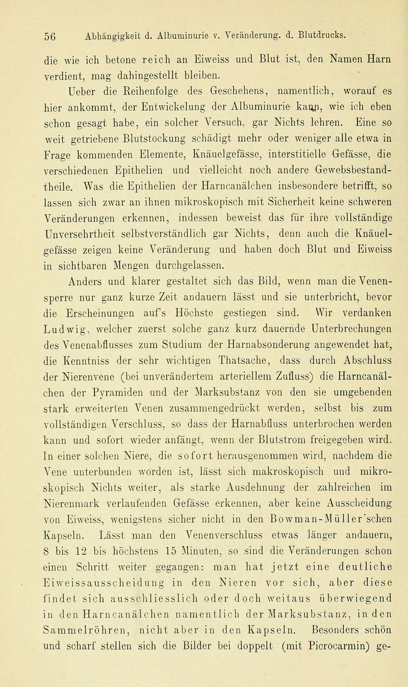 die wie ich betone reich an Eiweiss und Blut ist, den Namen Harn verdient, mag dahingestellt bleiben. Ueber die Reihenfolge des Geschehens, namentlich, worauf es hier ankommt, der Entwickelung der Albuminurie kaiyi, wie ich eben schon gesagt habe, ein solcher Versuch, gar Nichts lehren. Eine so weit getriebene Blutstockung schädigt mehr oder weniger alle etwa in Frage kommenden Elemente, Knäuelgefässe, interstitielle Gefässe, die verschiedenen Epithelien und vielleicht noch andere Gewebsbestand- theile. Was die Epithelien der Harncanälchen insbesondere betrifft, so lassen sich zwar an ihnen mikroskopisch mit Sicherheit keine schweren Veränderungen erkennen, indessen beweist das für ihre vollständige Unversehrtheit selbstverständlich gar Nichts, denn auch die Knäuel- gefässe zeigen keine Veränderung und haben doch Blut und Eiweiss in sichtbaren Mengen durchgelassen. Anders und klarer gestaltet sich das Bild, wenn man die Venen- sperre nur ganz kurze Zeit andauern lässt und sie unterbricht, bevor die Erscheinungen auf's Höchste gestiegen sind. Wir verdanken Ludwig, welcher zuerst solche ganz kurz dauernde Unterbrechungen des Venenabflusses zum Studium der Harnabsonderung angewendet hat, die Kenntniss der sehr wichtigen Thatsache, dass durch x\bschluss der Nierenvene (bei unverändertem arteriellem Zufluss) die Harncanäl- chen der Pyramiden und der Marksubstanz von den sie umgebenden stark erweiterten Venen zusammengedrückt werden, selbst bis zum vollständigen Verschluss, so dass der Harnabfluss unterbrochen werden kann und sofort wieder anfängt, wenn der Blutstrom freigegeben wird. In einer solchen Niere, die sofort herausgenommen wird, nachdem die Vene unterbunden Avorden ist, lässt sich makroskopisch und mikro- skopisch Nichts weiter, als starke Ausdehnung der zahlreichen im Nierenmark verlaufenden Gefässe erkennen, aber keine Ausscheidung von Eiweiss, wenigstens sicher nicht in den Bowman-Müller'schen Kapseln. Lässt man den Venenverschluss etwas länger andauern, 8 bis 12 bis höchstens 15 Minuten, so sind die Veränderungen schon einen Schritt weiter gegangen: man hat jetzt eine deutliche Eiweissausscheiduug in den Nieren vor sich, aber diese findet sich ausschliesslich oder doch weitaus überwiegend in den Harncanälchen namentlich der Marksubstanz, in den Sammelröhren, nicht aber in den Kapseln. Besonders schön und scharf stellen sich die Bilder bei doppelt (mit Picrocarmin) ge-