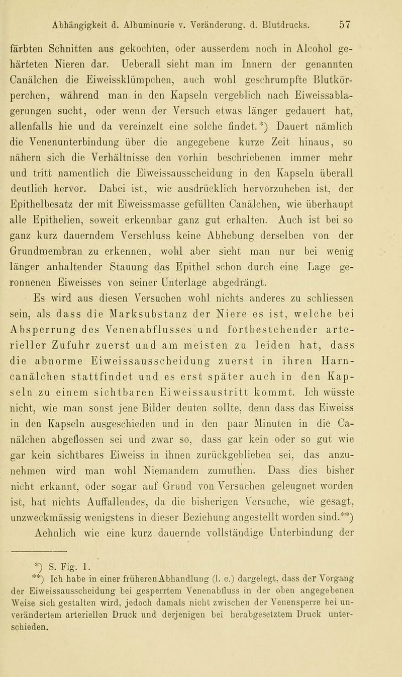 färbten Schnitten aus gekochten, oder ausserdem noch in Alcohol ge- härteten Nieren dar. üeberall sieht man im Innern der genannten Canälchen die Eiwcissklürapchen, auch wohl geschrumpfte Blutkör- perchen, während man in den Kapseln vergeblich nach Eiweissabla- gerungen sucht, oder wenn der Versuch etwas länger gedauert hat, allenüills hie und da vereinzelt eine solche findet.*) Dauert nämlich die Venenunterbindung über die angegebene kurze Zeit hinaus, so nähern sich die Verhältnisse den vorhin beschriebenen immer mehr und tritt namentlich die Eiweissausscheidung in den Kapseln überall deutlich hervor. Dabei ist, wie ausdrücklich hervorzuheben ist, der Epithelbesatz der mit Eiweissmasse gefüllten Canälchen, wie überhaupt alle Epithelien, soweit erkennbar ganz gut erhalten. Auch ist bei so ganz kurz dauerndem Verschluss keine Abhebung derselben von der Grundmembran zu erkennen, wohl aber sieht man nur bei wenig länger anhaltender Stauung das Epithel schon durch eine Lage ge- ronnenen Eiweisses von seiner Unterlage abgedrängt. Es wird aus diesen Versuchen wohl nichts anderes zu schliessen sein, als dass die Marksubstanz der Niere es ist, welche bei Absperrung des Venenabflusses und fortbestehender arte- rieller Zufuhr zuerst und am meisten zu leiden hat, dass die abnorme Eiweissausscheidung zuerst in ihren Harn- canälchen stattfindet und es erst später auch in den Kap- seln zu einem sichtbaren Eiweissaustritt kommt. Ich wüsste nicht, wie man sonst jene Bilder deuten sollte, denn dass das Eiweiss in den Kapseln ausgeschieden und in den paar Minuten in die Ca- nälchen abgeflossen sei und zwar so, dass gar kein oder so gut wie gar kein sichtbares Eiweiss in ihnen zurückgeblieben sei. das anzu- nehmen wird man wohl Niemandem zumuthen. Dass dies bisher nicht erkannt, oder sogar auf Grund von Versuchen geleugnet worden ist, hat nichts Auffallendes, da die bisherigen Versuche, wie gesagt, unzweckraässig wenigstens in dieser Beziehung angestellt worden sind.**) Aehnlich wie eine kurz dauernde vollständige Unterbindung der *) S. Fig. 1. **) Ich habe in einer früheren Abhandlung (1. c.) dargelegt, dass der Vorgang der Eiweissausscheidung bei gesperrtem Venenablluss in der oben angegebenen Weise sich gestalten wird, jedoch damals nicht zwischen der Venensperre bei un- verändertem arteriellen Druck und derjenigen bei herabgesetztem Druck unter- schieden.