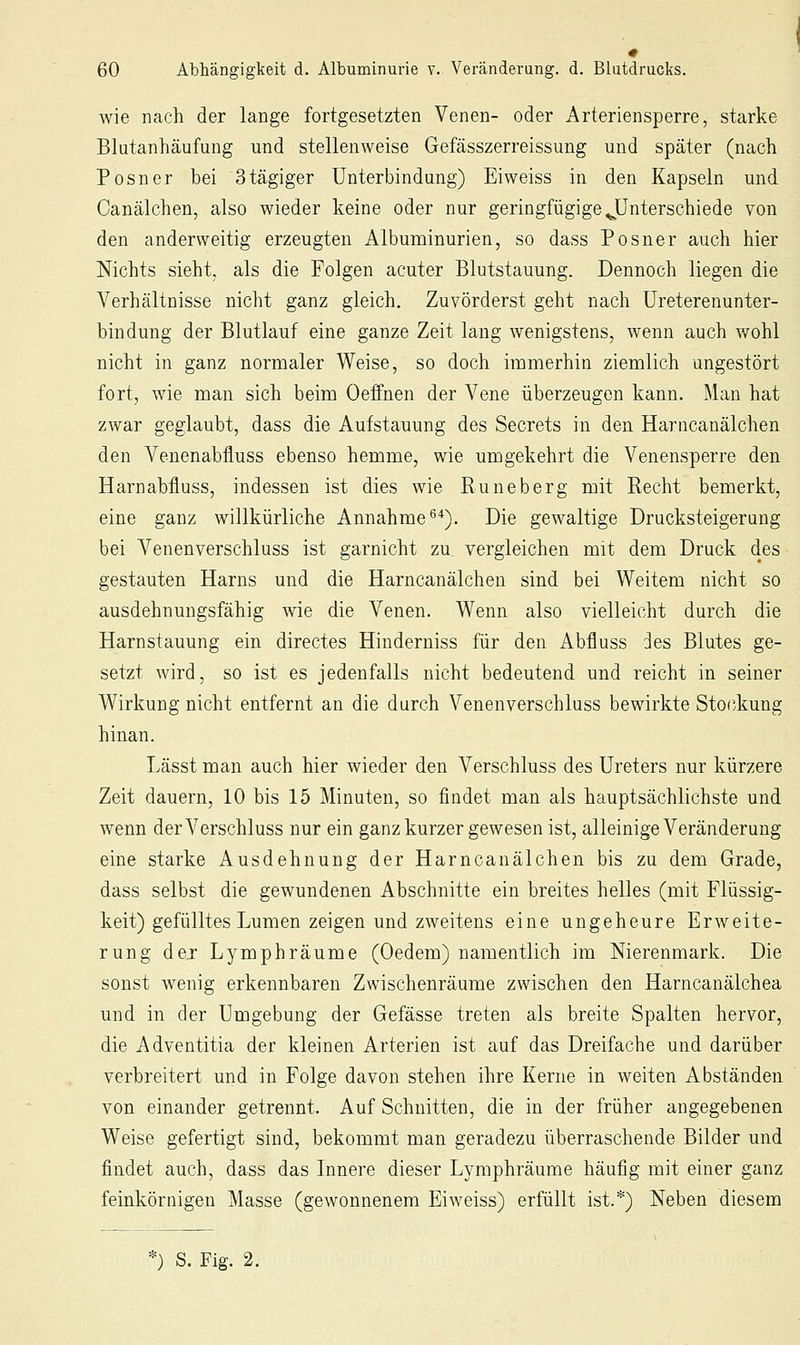 wie nach der lange fortgesetzten Venen- oder Arteriensperre, starke Blutanhäufung und stellenweise Gefässzerreissung und später (nach Posner bei Stägiger Unterbindung) Eiweiss in den Kapseln und Canälchen, also wieder keine oder nur geringfügige JJnterschiede von den anderweitig erzeugten Albuminurien, so dass Posner auch hier Nichts sieht, als die Folgen acuter Blutstauung. Dennoch liegen die Verhältnisse nicht ganz gleich. Zuvörderst geht nach üreterenunter- bindung der Blutlauf eine ganze Zeit lang wenigstens, wenn auch wohl nicht in ganz normaler Weise, so doch immerhin ziemlich ungestört fort, wie man sich beim Oeffnen der Vene überzeugen kann. Man hat zwar geglaubt, dass die Aufstauung des Secrets in den Harncanälchen den Venenabfluss ebenso hemme, wie umgekehrt die Venensperre den Harnabfluss, indessen ist dies wie Runeberg mit Recht bemerkt, eine ganz willkürliche Annahme'^'^). Die gewaltige Drucksteigerung bei Venenverschluss ist garnicht zu vergleichen mit dem Druck des- gestauten Harns und die Harncanälchen sind bei Weitem nicht so ausdehnungsfähig wie die Venen. Wenn also vielleicht durch die Harnstauung ein directes Hinderniss für den Abfluss des Blutes ge- setzt wird, so ist es jedenfalls nicht bedeutend und reicht in seiner Wirkung nicht entfernt an die durch Venenverschluss bewirkte Stockung hinan. Lässt man auch hier wieder den Verschluss des Ureters nur kürzere Zeit dauern, 10 bis 15 Minuten, so findet man als hauptsächlichste und wenn der Verschluss nur ein ganz kurzer gewesen ist, alleinige Veränderung eine starke Ausdehnung der Harncanälchen bis zu dem Grade, dass selbst die gewundenen Abschnitte ein breites helles (mit Flüssig- keit) gefülltes Lumen zeigen und zweitens eine ungeheure Erweite- rung de.r Lymphräume (Oedem) namentlich im Nierenmark. Die sonst wenig erkennbaren Zwischenräume zwischen den Harncanälchea und in der Umgebung der Gefässe treten als breite Spalten hervor, die Adventitia der kleinen Arterien ist auf das Dreifache und darüber verbreitert und in Folge davon stehen ihre Kerne in weiten Abständen von einander getrennt. Auf Schnitten, die in der früher angegebenen Weise gefertigt sind, bekommt man geradezu überraschende Bilder und findet auch, dass das Innere dieser Lymphräume häufig mit einer ganz feinkörnigen Masse (gewonnenem Eiweiss) erfüllt ist.*) Neben diesem *) S. Fig. 2.