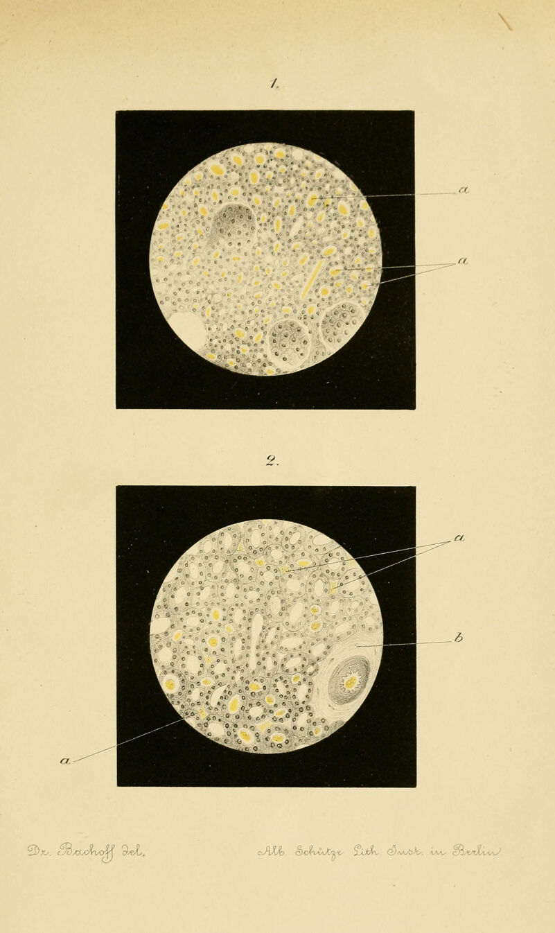 3);o. <^xu>^ d^l. cJVUo. c)<J('wJii^ iXWv Qy^A/b/t-. AAA^ c'ifrXvvA^'