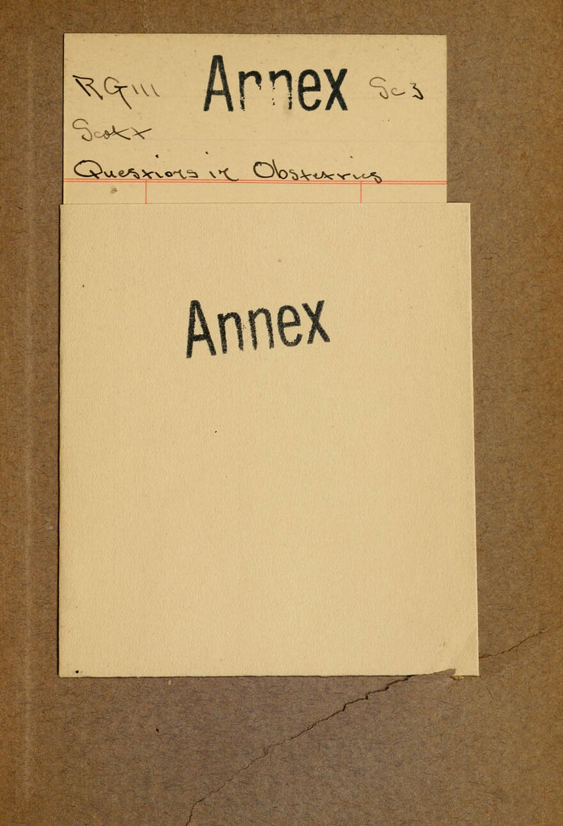 Annex