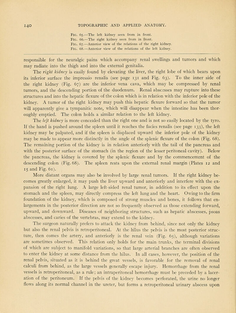 Fig. 65.—The left kidney seen from in front. Fig. 66.—The right kidney seen from in front. Fig. 67.—Anterior view of the relations of the right kidney. Fig. 68.—Anterior view of the relations of the left kidney. responsible for the neuralgic pains which accompany renal swellings and tumors and which may radiate into the thigh and into the external genitalia. The right kidney is easily found by elevating the liver, the right lobe of which bears upon its inferior surface the impressio renahs (see page 131 and Fig. 63). To the inner side of the right kidney (Fig. 67) are the inferior vena cava, which may be compressed by renal tumors, and the descending portion of the duodenum. Renal abscesses may rupture into these structures and into the hepatic flexure of the colon which is in relation with the inferior pole of the kidney. A tumor of the right kidney may push this hepatic flexure forw-ard so that the tumor will apparently give a tympanitic note, which will disappear when the intestine has been thor- oughly emptied. The colon holds a similar relation to the left kidney. The le^t kidney is more concealed than the right one and is not so easily located by the tyro. If the hand is pushed around the spleen until it reaches the fades renalis (see page 133), the left kidney may be palpated, and if the spleen is displaced upward the inferior pole of the kidney may be made to appear more distinctly in the angle of the splenic flexure of the colon (Fig. 68). The remaining portion of the kidney is in relation anteriorly with the tail of the pancreas and with the posterior surface of the stomach (in the region of the lesser peritoneal cavity). Below the pancreas, the kidney is covered by the splenic flexure and by the commencement of the descending colon (Fig. 68). The spleen rests upon the external renal margin (Plates 12 and 15 and Fig. 61). More distant organs may also be involved by large renal tumors. If the right kidney be- comes greatly enlarged, it may push the liver upward and anteriorly and interfere with the ex- pansion of the right lung. A large left-sided renal tumor, in addition to its effect upon the stomach and the spleen, may directly compress the left lung and the heart. Ov/ing to the firm foundation of the kidney, which is composed of strong muscles and bones, it follows that en- largements in the posterior direction are not so frequently observed as those extending forward, upward, and downward. Diseases of neighboring structures, such as hepatic abscesses, psoas abscesses, and caries of the vertebras, may extend to the kidney. The surgeon naturally prefers to attack the kidney from behind, since not only the kidney but also the renal pelvis is retroperitoneal. At the hilus the pelvis is the most posterior struc- ture, then comes the artery, and anteriorly is the renal vein (Fig. 65), although variations are sometimes observed. This relation only holds for the main trunks, the terminal divisions of which are subject to manifold variations, so that large arterial branches are often observed to enter the kidney at some distance from the hilus. In all cases, however, the position of the renal pelvis, situated as it is behind the great vessels, is favorable for the removal of renal calculi from behind, as the large vessels generally escape injury. Hemorrhage from the renal vessels is retroperitoneal, as a rule; an intraperitoneal hemorrhage must be preceded by a lacer- ation of the peritoneum. If the pelvis of the kidney becomes perforated, the urine no longer flows along its normal channel in the ureter, but forms a retroperitoneal urinary abscess upon