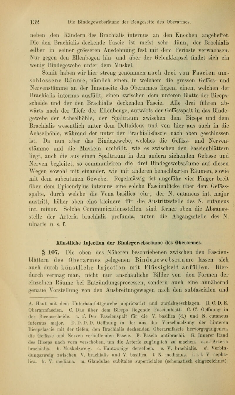 neben den Rändern des Brachial is internus an den Knochen angeheftet. Die den Brachialis deckende Fascie ist meist sehr dünn, der Brachialis selber in seiner grösseren Ausdehnung fest mit dem Perioste verwachsen. Nur gegen den Ellenbogen hin und über der Gelenkkapsel findet sich ein wenig Bindegewebe unter dem Muskel. Somit haben wir hier streng genommen noch drei von Fascien um- schlossene Räume, nämlich einen, in welchem die grossen Gefäss- und Nervenstämme an der Innenseite des Oberarmes liegen, einen, welchen der Brachialis internus ausfüllt, einen zwischen dem unteren Blatte der Biceps- scheide und der den Brachialis deckenden Fascie. Alle drei führen ab- wärts nach der Tiefe der Ellenbeuge, aufwärts der Gefässspalt in das Binde- gewebe der Achselhöhle, der Spaltraum zwischen dem Biceps und dem Brachialis wesentlich unter dem Deltoideus und von hier aus auch in die Achselhöhle, während der unter der Brachialisfascie nach oben geschlossen ist. Da nun aber das Bindegewebe, welches die Gefäss- und Nerven- stämme und die Muskeln umhüllt, wie es zwischen den Fascienblättern liegt, auch die aus einen Spaltraum in den andern ziehenden Gefässe und Nerven begleitet, so communiciren die drei Bindegewebsräume auf diesen Wegen sowohl mit einander, wie mit anderen benachbarten Räumen, sowie mit dem subcutanen Gewebe. Regelmässig ist ungefähr vier Finger breit über dem Epicondylus internus eine solche Fascienlücke über dem Gefäss- spalte, durch welche die Vena basilica ein-, der N. cutaneus int. major austritt, höher oben eine kleinere für die Austrittsstelle des N. cutaneus int. minor. Solche Communicationsstellen sind ferner oben die Abgangs- stelle der Arteria brachialis profunda, unten die Abgangsstelle des N. ulnaris u. s. f. Künstliche Injection der Bindegewebsräume des Oberarmes. § 107. Die oben des Näheren beschriebenen zwischen den Fascien- blättern des Oberarmes gelegenen Bindegewebsräume lassen sich auch durch künstliche Injection mit Flüssigkeit anfüllen. Hier- durch vermag man, nicht nur anschauliche Bilder von den Formen der einzelnen Räume bei Entzündungsprocessen, sondern auch eine annähernd genaue Vorstellung von den Ausbreitungswegen nach den subfascialen und A. Haut mit dem Unterhautfettgewebe abpräparirt und zurückgeschlagen. B. C. D. E. Oberarmfascien. C. Das über dem Biceps liegende Fascienblatt. C. C. Oeffnung in der Bicepsscheide. c. c'. Der Fascienspalt für die V. basilica (d.) und N. cutaneus internus major. D. I). I>. D. Oeffnung in der aus der Verschmelzung der hinteren Bicepsfascie mit der tiefen, den Brachialis deckenden Oberarmfascie hervorgegangenen, die Gefässe und Nerven verhüllenden Fascie. F. Fascia antibrachii. G. Innerer Rand des Biceps nach vorn verschoben, um die Arterie zugänglich zu machen, a. a. Arteria brachialis. b. Muskelzweig, c. Eautzweige derselben, e. V. brachialis. e'. Verbin- dungszweig zwischen V. brachialis und V. basilica. f. N. medianus. i. i. 1. V. cepha- lica. k. V. mediana, m. Glandulae cubitäles superficiales (schematisch eingezeichnet).