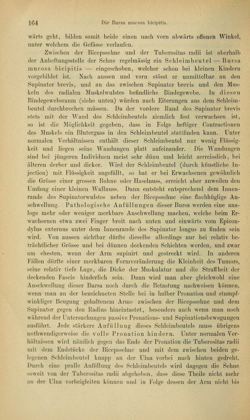 wärts geht, bilden somit beide einen nach vorn abwärts offenen Winkel, unter welchem die Gefässe verlaufen. Zwischen der Bicepsselme und der Tuberositas radii ist oberhalb der Anheftungsstelle der Sehne regelmässig ein Schleimbeutel — Bursa mucosa bicipitis — eingeschoben, welcher schon bei kleinen Kindern vorgebildet ist. Nach aussen und vorn stösst er unmittelbar an den Supinator brevis, und an das zwischen Supinator brevis und den Mus- keln des radialen Muskelwulstes befindliche Bindegewebe. In diesen Bindegewebsraum (siehe unten) würden auch Eiterungen aus dem Schleim- beutel durchbrechen müssen. Da der vordere Rand des Supinator brevis stets mit der Wand des Schleimbeutels ziemlich fest verwachsen ist, so ist die Möglichkeit gegeben, dass in Folge heftiger Contractionen des Muskels ein Bluterguss in den Schleimbeutel stattlinden kann. Unter normalen Verhältnissen enthält dieser Schleimbeutel nur wenig Flüssig- keit und liegen seine Wandungen platt aufeinander. Die Wandungen sind bei jüngeren Individuen meist sehr dünn und leicht zerreisslich, bei älteren derber und dicker. Wird der Schleimbeutel (durch künstliche In- jection) mit Flüssigkeit angefüllt, so hat er bei Erwachsenen gewöhnlich die Grösse einer grossen Bohne oder Haselnuss, erreicht aber zuweilen den Umfang einer kleinen Wallnuss. Dann entsteht entsprechend dem Innen- rande des Supinatorwulstes neben der Bicepsselme eine flachhüglige An- schwellung. Pathologische Anfüllungen dieser Bursa werden eine ana- loge mehr oder weniger merkbare Anschwellung machen, welche beim Er- wachsenen etwa zwei Finger breit nach unten und einwärts vom Epicon- dylus externus unter dem Innenrande des Supinator longus zu finden sein wird. Von aussen sichtbar dürfte dieselbe allerdings nur bei relativ be- trächtlicher Grösse und bei dünnen deckenden Schichten werden, und zwar am ehesten, wenn der Arm supinirt und gestreckt wird. In anderen Fällen dürfte einer merkbaren 'Formveränderung die Kleinheit des Tumors, seine relativ tiefe Lage, die Dicke der Muskulatur und die Straffheit der deckenden Fascie hinderlich sein. Dann wird man aber gleichwohl eine Anschwellung dieser Bursa noch durch die Betastung nachweisen können, wenn man an der bezeichneten Stelle bei in halber Pronation und stumpf- winkliger Beugung gehaltenem Arme zwischen der Bicepsselme und dem Supinator gegen den Radius hineintastet, besonders auch wenn man noch während der Untersuchungen passive Pronations- und Supinationsbewegungen ausführt. Jede stärkere Anfüllung dieses Schleimbeutels muss übrigens notwendigerweise die volle Pronation hindern. Unter normalen Ver- hältnissen wird nämlich gegen das Ende der Pronation die Tuberositas radii mit dem Endstücke der Bicepssehne und mit dem zwischen beiden ge- legenen Schleimbeutel knapp an der Ulna vorbei nach hinten gedreht. Durch eine pralle Anfüllung (\<~s Schleimbeutels wird dagegen die Sehne soweit von der Tuberositas radii abgehoben, dass diese Theile nicht mehr an der Ulna vorbeigleitcn können und in Folge dessen der Arm nicht bis