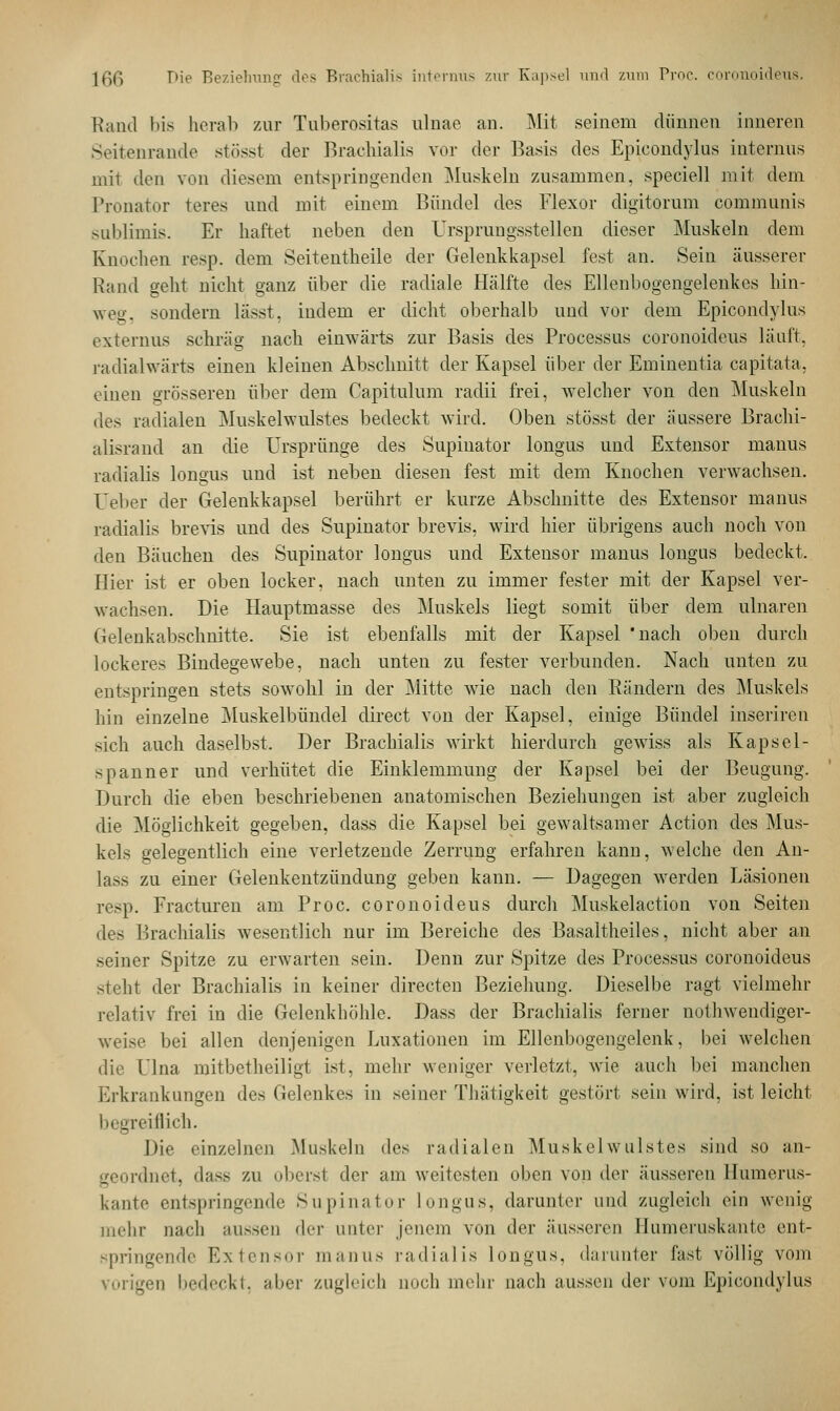 Rand bis herab zur Tuberositas ulnae an. Mit seinem dünnen inneren Seitenrande stösst der Brachialis vor der Basis des Epicondylus internus mit den von diesem entspringenden Muskeln zusammen, speciell mit dem Pronator teres und mit einem Bündel des Flexor digitorum communis snblimis. Er haftet neben den Ursprungsstellen dieser Muskeln dem Knochen resp. dem Seitentheile der Gelenkkapsel fest an. Sein äusserer Rand geht nicht ganz über die radiale Hälfte des Ellenbogengelenkes hin- weg, sondern lässt, indem er dicht oberhalb und vor dem Epicondylus extemus schräg nach einwärts zur Basis des Processus coronoideus läuft, rädialwärts einen kleinen Abschnitt der Kapsel über der Eminentia capitata, einen grösseren über dem Capitulum radii frei, welcher von den Muskeln des radialen Muskelwulstes bedeckt wird. Oben stösst der äussere Brachi- alisrand an die Ursprünge des Supinator longus und Extensor manus radialis longus und ist neben diesen fest mit dem Knochen verwachsen. Ueber der Gelenkkapsel berührt er kurze Abschnitte des Extensor manus radialis brevis und des Supinator brevis, wird hier übrigens auch noch von den Bäuchen des Supinator longus und Extensor manus longus bedeckt. Hier ist er oben locker, nach unten zu immer fester mit der Kapsel ver- wachsen. Die Hauptmasse des Muskels liegt somit über dem ulnaren Gelenkabschnitte. Sie ist ebenfalls mit der Kapsel 'nach oben durch lockeres Bindegewebe, nach unten zu fester verbunden. Nach unten zu entspringen stets sowohl in der Mitte wie nach den Rändern des Muskels hin einzelne Muskelbündel direct von der Kapsel, einige Bündel inseriren sich auch daselbst. Der Brachialis wirkt hierdurch gewiss als Kapsel- spanner und verhütet die Einklemmung der Kapsel bei der Beugung. Durch die eben beschriebenen anatomischen Beziehungen ist aber zugleich die Möglichkeit gegeben, dass die Kapsel bei gewaltsamer Action des Mus- kels gelegentlich eine verletzende Zerrung erfahren kann, welche den An- lass zu einer Gelenkentzündung geben kann. — Dagegen werden Läsionen resp. Fracturen am Proc. coronoideus durch Muskelaction von Seiten des Brachialis wesentlich nur im Bereiche des Basaltheiles, nicht aber an seiner Spitze zu erwarten sein. Denn zur Spitze des Processus coronoideus sieht der Brachialis in keiner directen Beziehung. Dieselbe ragt vielmehr relativ frei in die Gelenkhöhle. Dass der Brachialis ferner nothwendiger- weise bei allen denjenigen Luxationen im Ellenbogengelenk, bei welchen die ülna mitbetheiligt ist, mehr weniger verletzt, wie auch bei manchen Erkrankungen des Gelenkes in seiner Thätigkeit gestört sein wird, ist leicht begreiflich. Die einzelnen Muskeln dos radialen Muskelwulstes sind so an- geordnet, dass zu (iberst der am weitesten oben von der äusseren Humerus- kante entspringende Supinator longus, darunter und zugleich ein wenig mehr nach aussen der unter jenem von der äusseren Humeruskante ent- springende Extensor manus radialis longus, darunter fast völlig vom ,n bedeckt, aber zugleich uoch mehr nach aussen der vom Epicondylus