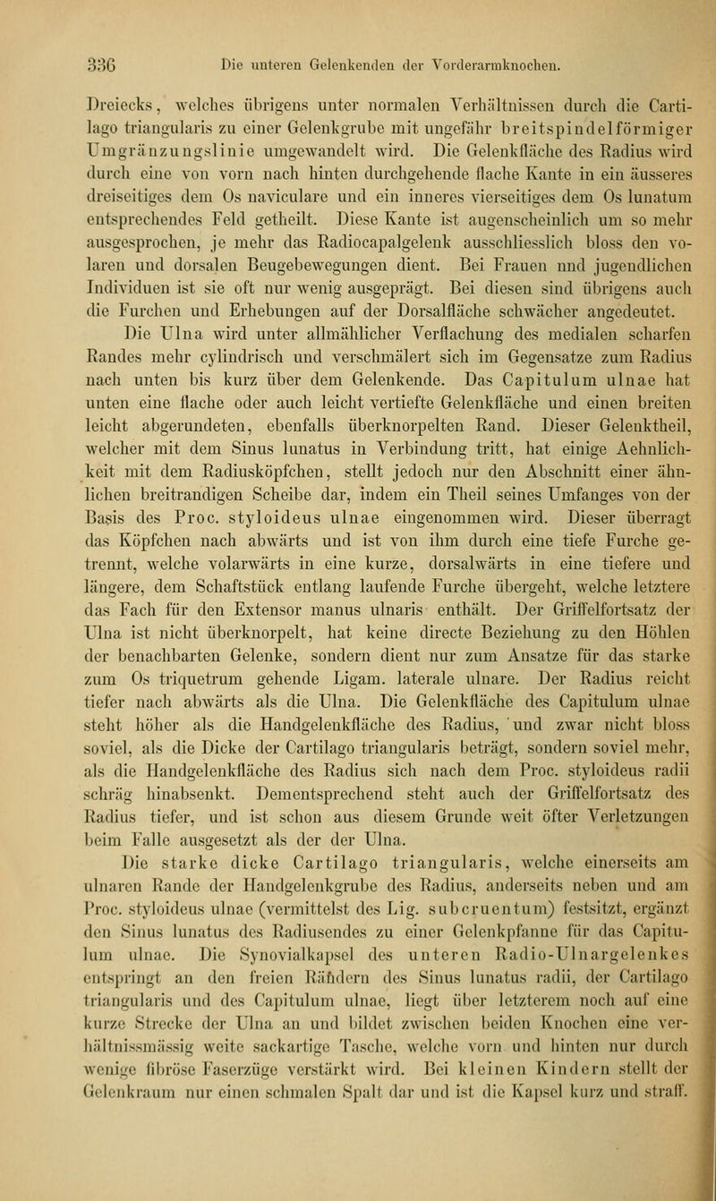 Dreiecks, welches übrigens unter normalen Verhältnissen durch die Carti- lago triangularis 7.11 einer Gelenkgrube mit ungefähr breitspindelförmiger Umgränzungslinie umgewandelt wird. Die Gelenkfiäche des Radius wird durch eine von vorn nach hinten durchgehende flache Kante in ein äusseres dreiseitiges dem Os naviculare und ein inneres vierseitiges dem Os lunatum entsprechendes Feld getheilt. Diese Kante ist augenscheinlich um so mehr ausgesprochen, je mehr das Radiocapalgelenk ausschliesslich bloss den vo- laren und dorsalen Beugebewegungen dient. Bei Frauen nnd jugendlichen Individuen ist sie oft nur wenig ausgeprägt. Bei diesen sind übrigens auch die Furchen und Erhebungen auf der Dorsalfläche schwächer angedeutet. Die Ulna wird unter allmählicher Verflachung des medialen scharfen Randes mehr cylindrisch und verschmälert sich im Gegensatze zum Radius nach unten bis kurz über dem Gelenkende. Das Capitulum ulnae hat unten eine flache oder auch leicht vertiefte Gelenkfläche und einen breiten leicht abgerundeten, ebenfalls überknorpelten Rand. Dieser Gelenktheil, welcher mit dem Sinus lunatus in Verbindung tritt, hat einige Aehnlich- keit mit dem Radiusköpfchen, stellt jedoch nur den Abschnitt einer ähn- lichen breitrandigen Scheibe dar, indem ein Theil seines Umfanges von der Basis des Proc. styloideus ulnae eingenommen wird. Dieser überragt das Köpfchen nach abwärts und ist von ihm durch eine tiefe Furche ge- trennt, welche volarwärts in eine kurze, dorsalwärts in eine tiefere und längere, dem Schaftstück entlang laufende Furche übergeht, welche letztere das Fach für den Extensor manus ulnaris enthält. Der Griffelfortsatz der Ulna ist nicht überknorpelt, hat keine directe Beziehung zu den Höhlen der benachbarten Gelenke, sondern dient nur zum Ansätze für das starke zum Os triquetrum gehende Ligam. laterale ulnare. Der Radius reicht tiefer nach abwärts als die Ulna. Die Gelenkfläche des Capitulum ulnae steht höher als die Handgelenkfläche des Radius, und zwar nicht bloss soviel, als die Dicke der Cartilago triangularis beträgt, sondern soviel mehr, als die Handgelenkfläche des Radius sich nach dem Proc. styloideus radii schräg hinabsenkt. Dementsprechend steht auch der Griffelfortsatz des Radius tiefer, und ist schon aus diesem Grunde weit öfter Verletzungen beim Falle ausgesetzt als der der Ulna. Die starke dicke Cartilago triangularis, welche einerseits am ulnaren Rande der Handgelcnkgrube des Radius, anderseits neben und am Proc. styloideus ulnae (vermittelst des Lig. suberuentum) festsitzt, ergänz! den Sinus lunatus des Radiusendes zu einer Gelenkpfanne für das Capitu- lum ulnae. Die Synovialkapsel des unteren Raclio-Ulnargelenkes entspringt an den freien Rändern dos Sinus lunatus radii, der Cartilago triangularis und des Capitulum ulnae, liegt über letzterem noch auf eine kurze Strecke der Ulna an und bildet zwischen beiden Knochen eine ver- hältnissmässig weite sackartige Tasche, welche vorn und hinten nur durch wenige fibröse Faserzüge verstärkt wird. Bei kleinen Kindern stellt der Gelenkraum nur einen schmalen Spalt dar und ist die Kapsel kurz und straff. 1