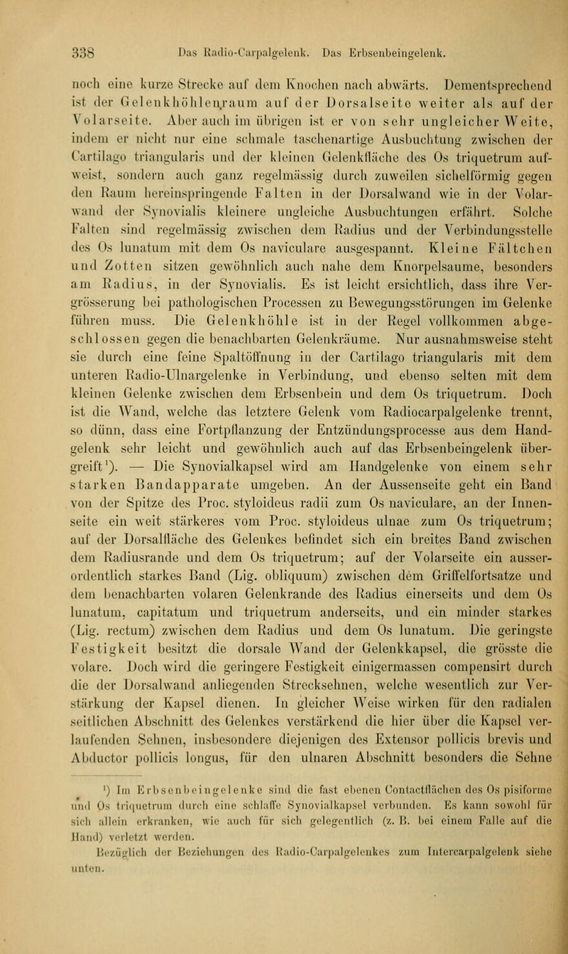 noch eine kurze Strecke auf dem Knochen nach abwärts. Dementsprechend ist der Gelenkhöhlen/aum auf der Dorsalseite weiter als auf der \ olarseite. Aber auch im übrigen ist er von sehr ungleicher Weite, indem er nicht nur eine schmale taschenartige Ausbuchtung zwischen der Cartilago triangularis und der kleinen Gelenkfläche des Os triquetrum auf- weist, sondern auch ganz regelmässig durch zuweilen sichelförmig gegen den Kaum hereinspringende Falten in der Dorsalwand wie in der Volar- wand der Synovialis kleinere ungleiche Ausbuchtungen erfährt. Solche Falten sind regelmässig zwischen dem Radius und der Verbindungsstelle ^\rs Os lunatum mit dem Os naviculare ausgespannt. Kleine Fältchen und Zotten sitzen gewöhnlich auch nahe dem Knorpelsaume, besonders am Kadius, in der Synovialis. Fs ist leicht ersichtlich, dass ihre Ver- grösserung bei pathologischen Processen zu Bewegungsstörungen im Gelenke führen muss. Die Gelenkhöhle ist in der Regel vollkommen abge- schlossen gegen die benachbarten Gelenkrä'ume. Nur ausnahmsweise steht sie durch eine feine Spaltöffnung in der Cartilago triangularis mit dem unteren Radio-Ulnargelenke in Verbindung, und ebenso selten mit dem kleinen Gelenke zwischen dem Erbsenbein und dem Os triquetrum. Doch ist die Wand, welche das letztere Gelenk vom Radiocarpalgelenke trennt, so dünn, dass eine Fortpllanzung der Entzündungsprocesse aus dem Hand- gelenk sehr leicht und gewöhnlich auch auf das Erbsenbeingelenk über- greift1). — Die Synovialkapsel wird am Handgelenke von einem sehr starken Bandapparate umgeben. An der Aussenseite geht ein Band von der Spitze des Proc. styloideus radii zum Os naviculare, an der Innen- seite ein weit stärkeres vom Proc. styloideus ulnae zum Os triquetrum; auf der Dorsalfläche des Gelenkes befindet sich ein breites Band zwischen dem Radiusrande und dem Os triquetrum; auf der Volarseite ein ausser- ordentlich starkes Band (Lig. obliquum) zwischen dem Griffelfortsatze und dem benachbarten volaren Geleukrande des Radius einerseits und dem Os lunatum, capitatum und triquetrum anderseits, und ein minder starkes (Lig. rectum) zwischen dem Radius und dem Os lunatum. Die geringste Festigkeit besitzt die dorsale Wand der Gelenkkapsel, die grösste die volare. Doch wird die geringere Festigkeit einigermassen compensirt durch die der Dorsalwand anliegenden Strecksehnen, welche wesentlich zur Ver- stärkung der Kapsel dienen. In gleicher AVcisc wirken für den radialen seitlichen Abschnitt des Gelenkes verstärkend die hier über die Kapsel ver- laufenden Sehnen, insbesondere diejenigen des Extensor pollicis brevis und Abductor pollicis longus, für den ulnaren Abschnitt besonders die Sehne ') Im Erb8enbeingeleiike sind die fast ebenen Contactflächen des Os pisiforme und Os triquetrum dureb eine schlaffe Synovialkapsel verbunden. Es kann sowohl für sich allein erkranken, wie auch für sich gelegentlich (z. I!. bei einein Falle auf die Band) verletzt werden. Bezüglich der Beziehungen des Radio-Carpalgelenkes zum [ntercarpalgeleok siehe unten.