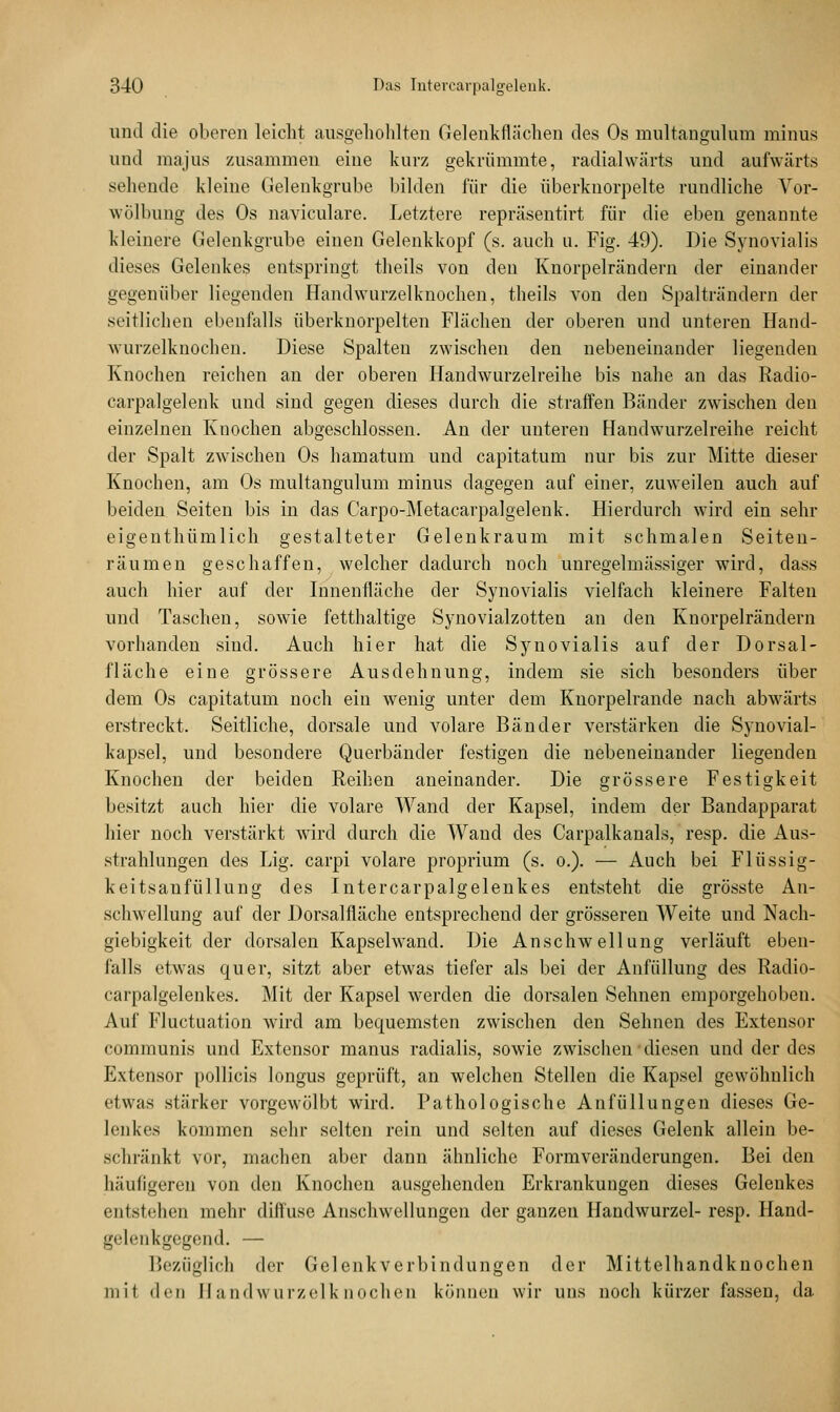 und die oberen leicht ausgehöhlten Gelenkflächen des Os multangulum minus und majus zusammen eine kurz gekrümmte, radialwärts und aufwärts sehende kleine Gelenkgrube bilden für die überknorpelte rundliche Vor- wölbung des Os naviculare. Letztere repräsentirt für die eben genannte kleinere Gelenkgrube einen Gelenkkopf (s. auch u. Fig. 49). Die Synovialis dieses Gelenkes entspringt theils von den Knorpelrändern der einander gegenüber liegenden Handwurzelknochen, theils von den Spalträndern der seitlichen ebenfalls überknorpelten Flächen der oberen und unteren Hand- wurzelknochen. Diese Spalten zwischen den nebeneinander liegenden Knochen reichen an der oberen Handwurzelreihe bis nahe an das Radio- carpalgelenk und sind gegen dieses durch die straffen Bänder zwischen den einzelnen Knochen abgeschlossen. An der unteren Handwurzelreihe reicht der Spalt zwischen Os hamatum und capitatum nur bis zur Mitte dieser Knochen, am Os multangulum minus dagegen auf einer, zuweilen auch auf beiden. Seiten bis in das Carpo-Metacarpalgelenk. Hierdurch wird ein sehr eigenthümlich gestalteter Gelenkraum mit schmalen Seiten- räumen geschaffen, welcher dadurch noch unregelmässiger wird, dass auch hier auf der Innenfläche der Synovialis vielfach kleinere Falten und Taschen, sowie fetthaltige Synovialzotten an den Knorpelrändern vorhanden sind. Auch hier hat die Synovialis auf der Dorsal- fläche eine grössere Ausdehnung, indem sie sich besonders über dem Os capitatum noch ein wenig unter dem Knorpelrande nach abwärts erstreckt. Seitliche, dorsale und volare Bänder verstärken die Synovial- kapsel, und besondere Querbänder festigen die nebeneinander liegenden Knochen der beiden Reihen aneinander. Die grössere Festigkeit besitzt auch hier die volare Wand der Kapsel, indem der Bandapparat hier noch verstärkt wird durch die Wand des Carpalkanals, resp. die Aus- strahlungen des Lig. carpi volare proprium (s. o.). — Auch bei Flüssig- keitsaufüllung des Intercarpalgelenkes entsteht die grösste An- schwellung auf der Dorsalfläche entsprechend der grösseren Weite und Nach- giebigkeit der dorsalen Kapselwand. Die Anschwellung verläuft eben- falls etwas quer, sitzt aber etwas tiefer als bei der Anfüllung des Radio- carpalgelenkes. Mit der Kapsel werden die dorsalen Sehnen emporgehoben. Auf Fluctuation wird am bequemsten zwischen den Sehnen des Extensor communis und Extensor manus radialis, sowie zwischen diesen und der des Extensor |iollicis longus geprüft, an welchen Stellen die Kapsel gewöhnlich etwas stärker vorgewölbt wird. Pathologische Anfüllungen dieses Ge- lenkes kommen sehr selten rein und selten auf dieses Gelenk allein be- schränkt vor, machen aber dann ähnliche Formveränderungen. Bei den [läufigeren von den Knochen ausgehenden Erkrankungen dieses Gelenkes entstehen mehr diffuse Anschwellungen der ganzen Handwurzel- resp. Hand- gvlcnkgegencl. — Bezüglich der Gelenkverbindungen der Mittelhandknochen mit den Handwurzelknochen können wir uns noch kürzer fassen, da