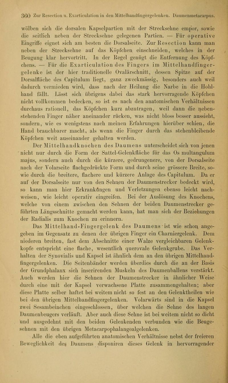 wölben sich die dorsalen Kapselpartien mit dw Strecksehne empor, sowie die seitlich neben der Strecksehne gelegenen Partien. — Für operative Eingriffe eignet sich am besten die Dorsalseite. ZurResection kann man nelien der Strecksehne auf das Köpfchen einschneiden, welches in der Beugung klar hervortritt. In der Regel genügt die Entfernung des Köpf- chens. — Für die Exarticulation des Fingers im Mittelhandfinger- gelenke ist der hier traditionelle Ovaläischnitt, dessen Spitze auf der Dorsalfläche des Capitulum liegt, ganz zweckmässig, besonders auch weil dadurch vermieden wird, dass nach der Heilung die Narbe in die Hohl- hand fällt. Lässt sich übrigens dabei das stark hervorragende Köpfchen nicht vollkommen bedecken, so ist es nach den anatomischen Verhältnissen durchaus rationell, das Köpfchen kurz abzutragen, weil dann die neben- stehenden Finger näher aneinander rücken, was nicht bloss besser aussieht, sondern, wie es wenigstens nach meinen Erfahrungen hierüber schien, die Hand brauchbarer macht, als wenn die Finger durch das stehenbleibende Köpfchen weit auseinander gehalten werden. Der Mi 11 e 1 h a n d k n o ch e n d e s 1) a u m e n s u nterscheidet sich von j enen nicht nur durch die Form der Sattel-Gelenkfläche für das Os multangulum majus, sondern auch durch die kürzere, gedrungenere, von der Dorsalseite nach der Volarseite flachgedrückte Form und durch seine grössere Breite, so- wie durch die breitere, flachere und kürzere Anlage des Capitulum. Da er auf der Dorsalseite nur von den Sehnen der Daumenstrecker bedeckt wird, so kann man hier Erkrankungen und Verletzungen ebenso leicht nach- weisen, wie leicht operativ eingreifen. Bei der Auslösung des Knochens, welche von einem zwischen den Sehnen der beiden Daumenstrecker ge- führten Längsschnitte gemacht werden kann, hat man sich der Beziehungen der Radialis zum Knochen zu erinnern. Das Mittelhand-Fingergelenk des Daumens ist wie schon ange- geben im Gegensatz zu denen der übrigen Finger ein Charniergelenk. Dem niederen breiten, fast dem Abschnitte einer Walze vergleichbaren Gelenk- kopfe entspricht eine flache, wesentlich querovale Gelenkgrube. Das Ver- halten der Synovialis und Kapsel ist ähnlich dem an den übrigen Mittelhand- fingergelenken. Die Seitenbänder werden überdies durch die an der Basis der Grundphalanx sich inserirenden Muskeln des Daumenballens verstärkt. Auch werden liier die Sehnen der Daumenstrcckcr in ähnlicher Weise du ich eine mit der Kapsel verwachsene Platte zusammengehalten; aber diese Platte selber haftet bei weitem nicht so fest an den Gelenktheilen wie bei den übrigen Mittelhandfingergelenken. Volarwärts sind in die Kapsel zwei Sesambeinchen eingeschlossen, über welchen die Sehne des langen Daumcubeugers verläuft. Aber auch diese Sehne ist bei weitem nicht so dicht und ausgedehnt mit den beiden Gelenkendcn verbunden wie die Beuge- sehnen mit den übrigen Metacarpophalangealgelenken. Alle die eben aufgeführten anatomischen Verhältnisse nebst der freieren Beweglichkeit des, Daumens disponiren dieses Gelenk in hervorragender