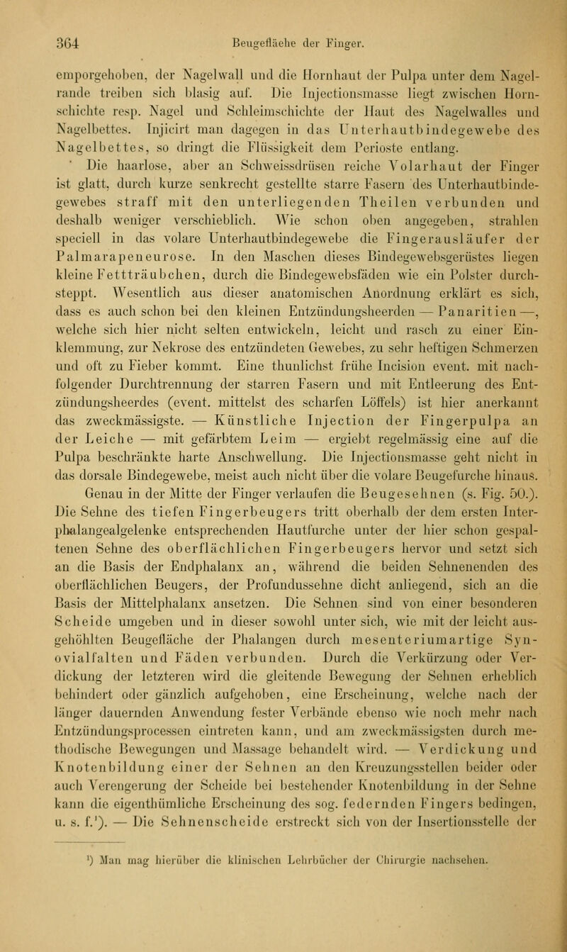 emporgehoben, der Nagelwall und die Hornhaut der Pulpa unter dem Nagel- rande treiben sich blasig auf. Die Injectionsmasse liegt zwischen Horn- schichte resp. Nagel und Schleimschichte der Haut des Nagelwalles und Nagelbettes. Injicirt man dagegen in das Unterhautbindegewebe des Nagelbettes, so dringt die Flüssigkeit dem Perioste entlang. Die haarlose, aber an Schweissdrüsen reiche Volarhaut der Finger ist glatt, durch kurze senkrecht gestellte starre Fasern des Unterhautbinde- gewebes straff mit den unterliegenden Theilen verbunden und deshalb weniger verschieblich. Wie schon oben angegeben, strahlen speciell in das volare Unterhautbindegewebe die Fingerausläufer der Palmarapeneurose. In den Maschen dieses Bindegewebsgerüstes liegen kleine Fettträubchen, durch die Bindegewebsfäden wie ein Polster durch- steppt. Wesentlich aus dieser anatomischen Anordnung erklärt es sich, dass es auch schon bei den kleinen Entzündungsheerden — Panaritien—, welche sich hier nicht selten entwickeln, leicht und rasch zu einer Ein- klemmung, zur Nekrose des entzündeten Gewebes, zu sehr heftigen Schmerzen und oft zu Fieber kommt. Eine thunlichst frühe Incision event. mit nach- folgender Durchtrennung der starren Fasern und mit Entleerung des Ent- ziindungsheerdes (event. mittelst des scharfen Löffels) ist hier anerkannt das zweckmässigste. — Künstliche Injection der Fingerpulpa an der Leiche — mit gefärbtem Leim — ergiebt regelmässig eine auf die Pulpa beschränkte harte Anschwellung. Die Injectionsmasse geht nicht in das dorsale Bindegewebe, meist auch nicht über die volare Beugelürohe hinaus. Genau in der Mitte der Finger verlaufen die Beugesehnen (s. Fig. 50.). Die Sehne des tiefen Fingerbeugers tritt oberhalb der dem ersten Inter- phalangealgelenke entsprechenden Hautlürche unter der hier schon gespal- tenen Sehne des oberflächlichen Fingerbeugers hervor und setzt sich an die Basis der Endphalanx an, während die beiden Sehnenenden des oberflächlichen Beugers, der Profundussehne dicht anliegend, sich an die Basis der Mittelphalanx ansetzen. Die Sehnen sind von einer besonderen Scheide umgeben und in dieser sowohl unter sich, wie mit der leicht aus- gehöhlten Beugelläche der Phalangen durch mesentcriumartige Syn- ovialfalten und Fäden verbunden. Durch die Verkürzung oder Ver- dickung der letzteren wird die gleitende Bewegung der Sehnen erheblich behindert oder gänzlich aufgehoben, eine Erscheinung, welche nach der länger dauernden Anwendung fester Verbände ebenso wie noch mehr nach Entziindungsprocesscn eintreten kann, und am zweckmässigsteu durch me- thodische Bewegungen und Massage behandelt wird. — Verdickung und Knotenbildung einer der Sehnen an den Ivreuzuiigsstellen beider oder auch Verengerung der Scheide bei bestehender Knotenbildung in der Sehne kann die eigentümliche Erscheinung des sog. federnden Fingers bedingen. iL s. f.1). — Die Sehnenscheide erstreckt sich von der [nsertionsstelle der ') Man mag hierüber die klinischen Lehrbücher der Chirurgie nachsehen.