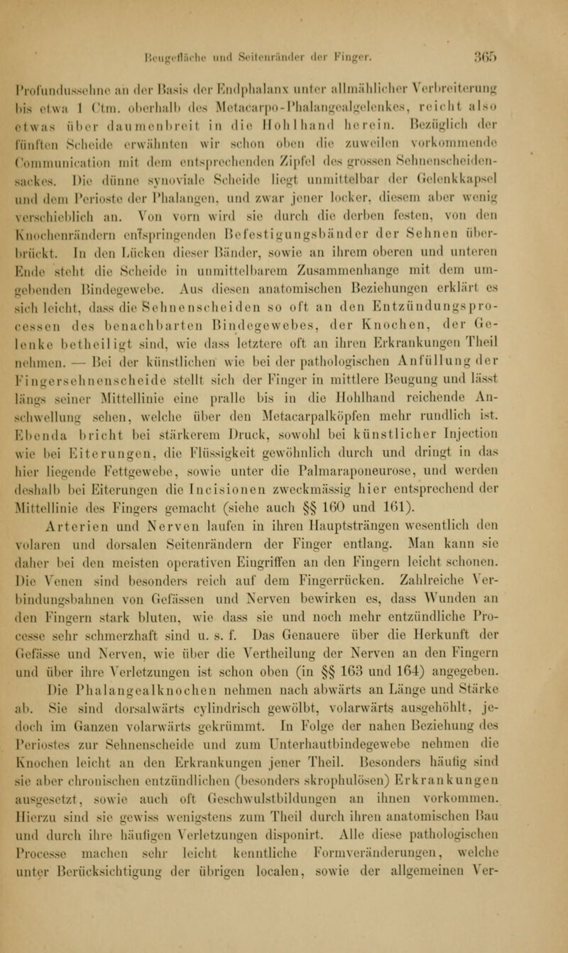 Profundussehne ah der Basis der Endphalanx unter allmählicher Verbreiterung bis etwa I Ctm. oberhalb des Metacarpo-Phalangealgelenkes, reicht also etwas über daumenbreit in die Hohlhand berein. Bezüglich der Fünften Scheide erwähnten wir Bchon oben die zuweilen vorkommende Communication mil dem entsprechenden Zipfel des grossen Sehnenscheiden- Backes. Die dünne synoviale Scheide liegt unmittelbar der Gelenkkapsel und dem Perioste der Phalangen, und zwar jener locker, diesem aber wenig verschieblich an. Von vorn wird sie durch die derben festen, v len Knochenrändern entspringenden Befestigungsbänder der Sehnen über- brückt. In den Lücken dieser Bänder, sowie an ihrem oberen und unteren Ende steht die Scheide in unmittelbarem Zusammenhange mit dem um- gebenden Bindegewebe. Aus diesen anatomischen Beziehungen erklärt es sich leicht, dass die Sehnenscheiden so oft an den Entzündungspro- cessen des benachbarten Bindegewebes, der Knochen, der Ge- lenke betheiligl sind, wie dass letztere oft an ihren Erkrankungen Theil nehmen. —Bei der künstlichen wie bei der pathologischen Anfüllung der Fingersehnenscheide stellt sich der Finger in mittlere Beugung und lässt längs seiner Mittellinie eine pralle bis in die Hohlhand reichende An- schwellung sehen, welche über den Metacarpalköpfen mehr rundlich ist. Ebenda brich.1 bei stärkerem Druck, sowohl bei künstlicher Enjection wie bei Eiterungen, die Flüssigkeil gewöhnlich durch und dringt in das hier liegende Fettgewebe, sowie unter die Palmaraponeurose, und werden deshalb bei Eiterungen die Incisionen zweckmässig liier entsprechend der Mittellinie des Finders gemacht (siehe auch §vj 160 und 161). Arterien und Nerven laufen in ihren Hauptsträngen wesentlich <Um volaren und dorsalen Seitenrändern der Finger entlang. Man kann sie daher l>ei den meisten operativen Eingriffen an den Fingern leicht schonen. Die Venen sind besonders reich auf dem Fingerrücken. Zahlreiche Ver- bindungsbahnen von Gefässen und Nerven bewirken es. dass Wunden an den Fingern stark Muten, wie dass sie und noch mehr entzündliche Pro- cesse sein- schmerzhaft sind u. s. f. Das Genauere über die Herkunft der Gefasse und Nerven, wie über die Vertheilung der Nerven an den Fingern und über ihre Verletzungen ist schon oben (in §§ 163 und KU) angegeben. Die Phalangealknochen nehmen nach abwärts an Länge und Stärke ab. Sic sind dorsalwärts cylindrisch gewölbt, volarwärts ausgehöhlt, je- doch im Ganzen volarwärts gekrümmt. In Folge der nahen Beziehung dt>s Periostes zur Sehnenscheide und zum ünterhautbindegewebe nehmen die Knochen leicht an den Erkrankungen jener Theil. Besonders häufig sind sie aber chronischen entzündlichen (besonders skrophulösen) Erkrankungen ausgesetzt, sowie auch oft Geschwulstbildungen an ihnen vorkommen. Hierzu sind sie gewiss wenigstens /.um Theil durch ihren anatomischen Bau und durch ihre häufigen Verletzungen disponirt. Alle diese pathologischen Processe machen sehr leicht kenntliche Formveränderungen, welche unter Berücksichtigung der übrigen localen, sowie der allgemeinen \ er-