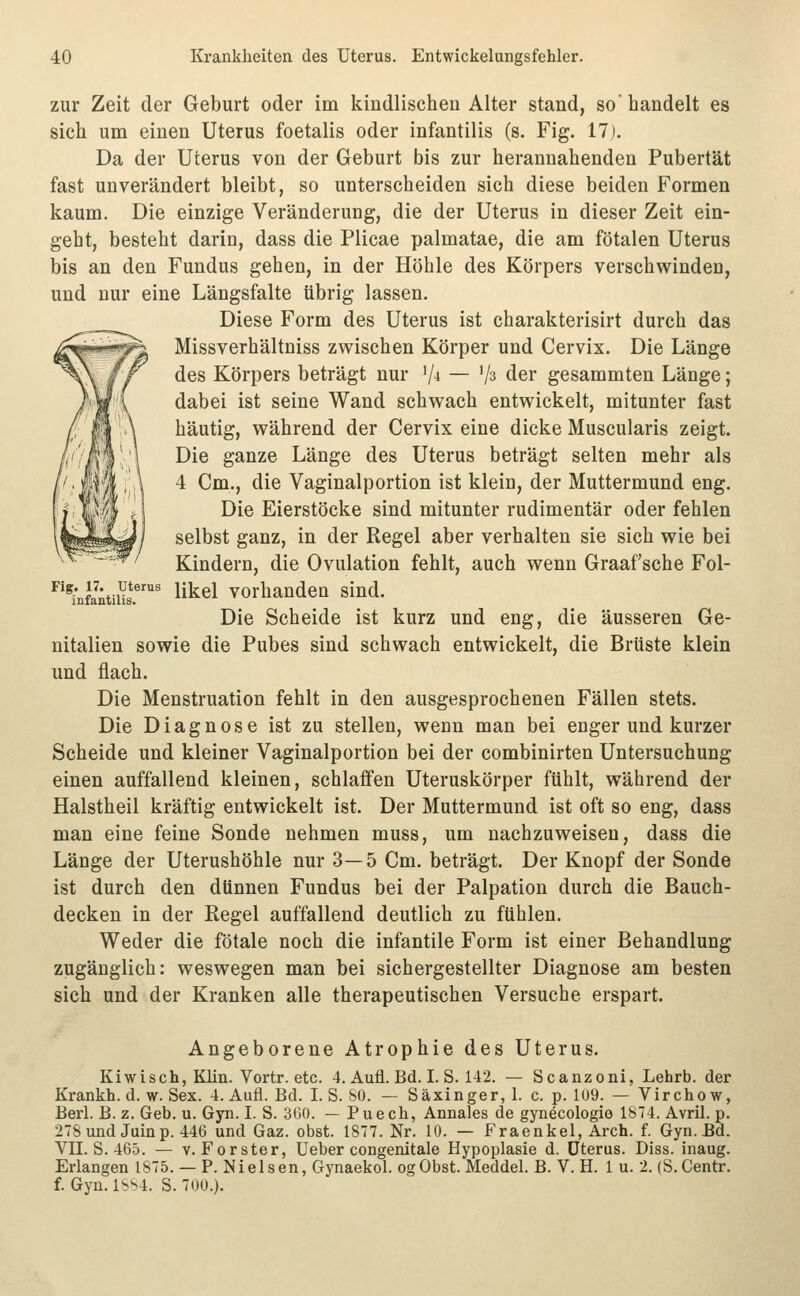 zur Zeit der Geburt oder im kindlischen Alter stand, so handelt es sich um einen Uterus foetalis oder infantilis (s. Fig. 17j. Da der Uterus von der Geburt bis zur herannahenden Pubertät fast unverändert bleibt, so unterscheiden sich diese beiden Formen kaum. Die einzige Veränderung, die der Uterus in dieser Zeit ein- geht, besteht darin, dass die Plicae palmatae, die am fötalen Uterus bis an den Fundus gehen, in der Höhle des Körpers verschwinden, und nur eine Längsfalte übrig lassen. Diese Form des Uterus ist charakterisirt durch das Missverhältniss zwischen Körper und Cervix. Die Länge des Körpers beträgt nur '/^ — '/s der gesammten Länge; dabei ist seine Wand schwach entwickelt, mitunter fast häutig, während der Cervix eine dicke Muscularis zeigt. Die ganze Länge des Uterus beträgt selten mehr als 4 Cm., die Vaginalportion ist klein, der Muttermund eng. Die Eierstöcke sind mitunter rudimentär oder fehlen selbst ganz, in der Regel aber verhalten sie sich wie bei Kindern, die Ovulation fehlt, auch wenn Graafsche Fol- ^'^nfaitius.' l^^^l vorhanden sind. Die Scheide ist kurz und eng, die äusseren Ge- nitalien sowie die Pubes sind schwach entwickelt, die Brüste klein und flach. Die Menstruation fehlt in den ausgesprochenen Fällen stets. Die Diagnose ist zu stellen, wenn man bei enger und kurzer Scheide und kleiner Vaginalportion bei der combinirten Untersuchung einen auffallend kleinen, schlaffen Uteruskörper fühlt, während der Halstheil kräftig entwickelt ist. Der Muttermund ist oft so eng, dass man eine feine Sonde nehmen muss, um nachzuweisen, dass die Länge der Uterushöhle nur 3—5 Cm. beträgt. Der Knopf der Sonde ist durch den dünnen Fundus bei der Palpation durch die Bauch- decken in der Regel auffallend deutlich zu fühlen. Weder die fötale noch die infantile Form ist einer Behandlung zugänglich: weswegen man bei sichergestellter Diagnose am besten sich und der Kranken alle therapeutischen Versuche erspart. Angeborene Atrophie des Uterus. Kiwisch, Klin. Vortr. etc. 4. Aufl. Bd. I. S. 142. — Scanzoni, Lehrb. der Krankh. d. w. Sex. 4. Aufl. Bd. LS. SO. — Säxinger, I. c. p. 1U9. — Virchow, Berl. B. z. Geb. u. Gyn. I. S. 3G0. — Puech, Annales de gynecologie 1874. Avril. p. 278 und Juin p. 446 und Gaz. obst. 1877. Nr. 10. — Fraenkel, Arch. f. Gyn. Bd. VII. S. 465. — V. Forster, Ueber congenitale Hypoplasie d. Uterus. Diss. inaug. Erlangen 1875. — P. Nielsen, Gynaekol. ogObst. Meddel. B. V. H. 1 u. 2. (S.Centr. f. Gyn. 1SS4. S. 700.).