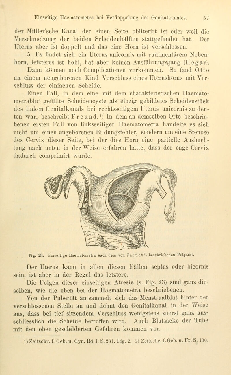 der Mtiller'sche Kanal der einen Seite obliterirt ist oder weil die Verschmelzung der beiden Scheidenhälften stattgefunden hat. Der Uterus aber ist doppelt und das eine Hörn ist verschlossen. 5. Es findet sich ein Uterus unicornis mit rudimentärem Neben- horn, letzteres ist hohl, hat aber keinen Ausftihrungsgang (Hegar). Dann können noch Complicationen vorkommen. So fand Otto an einem neugeborenen Kind Verschluss eines Uterushorns mit Ver- schluss der einfachen Scheide. , Einen Fall, in dem eine mit dem charakteristischen Haemato- metrablut gefüllte Scheidencyste als einzig gebildetes Scheidenstück des linken Genitalkanals bei rechtsseitigem Uterus unicornis zu deu- ten war, beschreibt Fr eund.') In dem an demselben Orte beschrie- benen ersten Fall von linksseitiger Haematometra handelte es sich nicht um einen angeborenen Bildungsfehler, sondern um eine Stenose des Cervix dieser Seite, bei der dies Hörn eine partielle Ausbuch- tung nach unten in der Weise erfahren hatte, dass der enge Cervix dadurch comprimirt wurde. Fig. 23. Einseitige Haematometra nach dem von Jaquef-) beschriebenen Präparat. Der Uterus kann in allen diesen Fällen septus oder bicornis sein, ist aber in der Regel das letztere. Die Folgen dieser einseitigen Atresie (s. Fig. 23) sind ganz die- selben, wie die oben bei der Haematometra beschriebenen. Von der Pubertät an sammelt sich das Menstrualblut hinter der verschlossenen Stelle an und dehnt den Genitalkanal in der Weise aus, dass bei tief sitzendem Verschluss wenigstens zuerst ganz aus- schliesslich die Scheide betroffen wird. Auch Blutsäcke der Tube mit den oben geschilderten Gefahren kommen vor. 1) Zeitschr. f. Geb. u. Gyn. Bd. I. S. 231. Fig. 2. 2) Zeitschr. f. Geb. u. Fr. S. 13U.