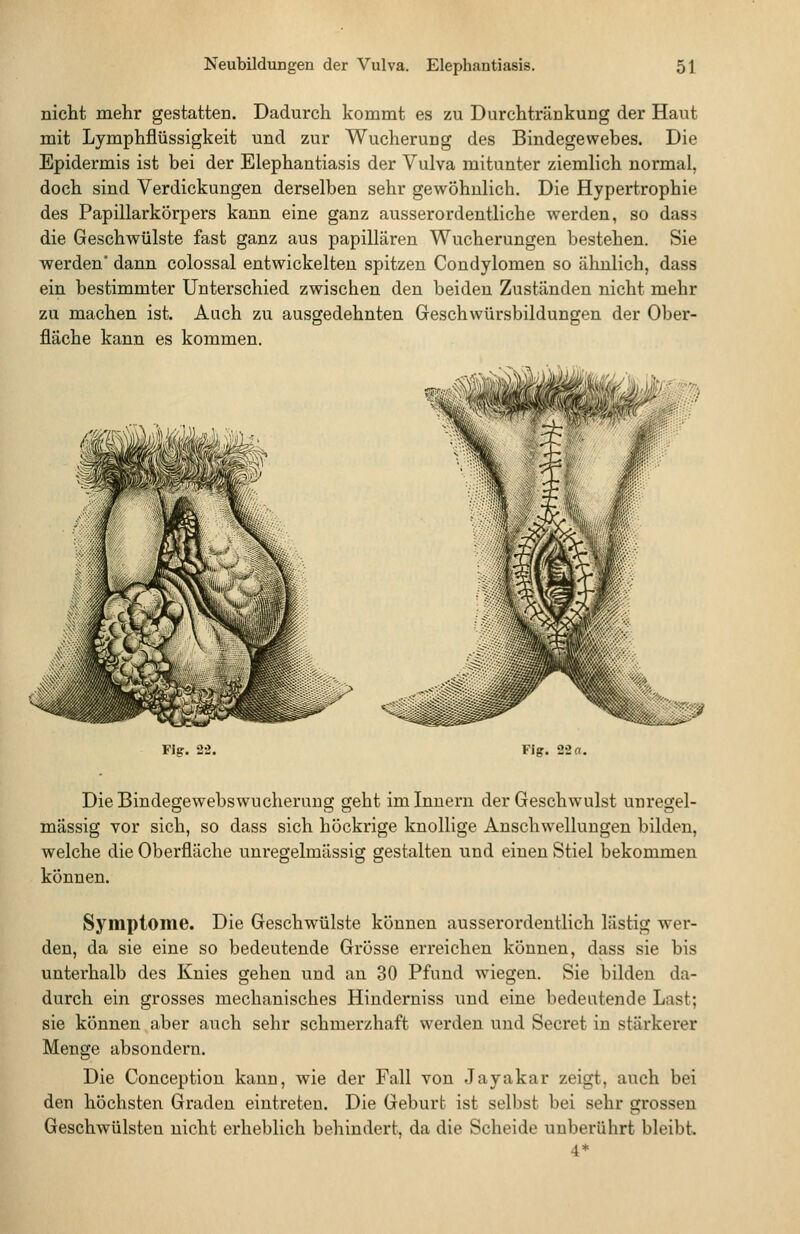 nicht mehr gestatten. Dadurch kommt es zu Durchtränkung der Haut mit Lymphflüssigkeit und zur Wucherung des Bindegewebes. Die Epidermis ist bei der Elephantiasis der Vulva mitunter ziemlich normal, doch sind Verdickungen derselben sehr gewöhnlich. Die Hypertrophie des Papillarkörpers kann eine ganz ausserordentliche werden, so dass die Geschwülste fast ganz aus papillären Wucherungen bestehen. Sie werden' dann colossal entwickelten spitzen Condylomen so ähnlich, dass ein bestimmter Unterschied zwischen den beiden Zuständen nicht mehr zu machen ist. Auch zu ausgedehnten Geschwürsbildungen der Ober- fläche kann es kommen. V Fig. 22. Fig. 22 a. DieBindegewebswucherung geht im Innern der Geschwulst unregel- mässig vor sich, so dass sich höckrige knollige Anschwellungen bilden, welche die Oberfläche unregelmässig gestalten und einen Stiel bekommen können. Symptome. Die Geschwülste können ausserordentlich lästig wer- den, da sie eine so bedeutende Grösse erreichen können, dass sie bis unterhalb des Knies gehen und an 30 Pfund wiegen. Sie bilden da- durch ein grosses mechanisches Hinderniss und eine bedeutende Last; sie können aber auch sehr schmerzhaft werden und Secret in stärkerer Menge absondern. Die Conception kann, wie der Fall von Jayakar zeigt, auch bei den höchsten Graden eintreten. Die Geburt ist selbst bei sehr grossen Geschwülsten nicht erheblich behindert, da die Scheide unberührt bleibt