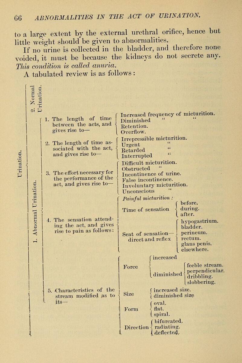 to a large extent by the external urethral orifice, hence but little weight should be given to abnormalities. If no urine is collected in the bladder, and therefore none voided, it must be because the kidneys do not secrete any. This condition is called anuria. A tabulated review is as follows : a .2 The length of time between the acts, and gives rise to— The length of time as- sociated with the act, and gives rise to— ^ i The effort necessary for the performance of the act, and gives rise to— The sensation attend- ing the act, and gives rise to pain as follows: Increased frequency of micturition. Diminished Eetention. Overflow. Irrepressible micturition. Urgent Eetarded Interrupted Diificult micturition. Obstructed Incontinence of urine. False incontinence. Involuntary micturition. Unconscious Painful micturition: Time of sensation Seat of sensation— direct and reflex before. during. after. hypogastrium. bladder. perineum. rectum. glans penis. elsewhere. •Characteristics of the stream modified ^s to its— r increased I feeble stream, perpendicular, dribbling, slobbering. f increased size. I diminished size (oval. ] flat, i spiral, f bifurcated. Direction I radiating, (deflected.. Force Size Form