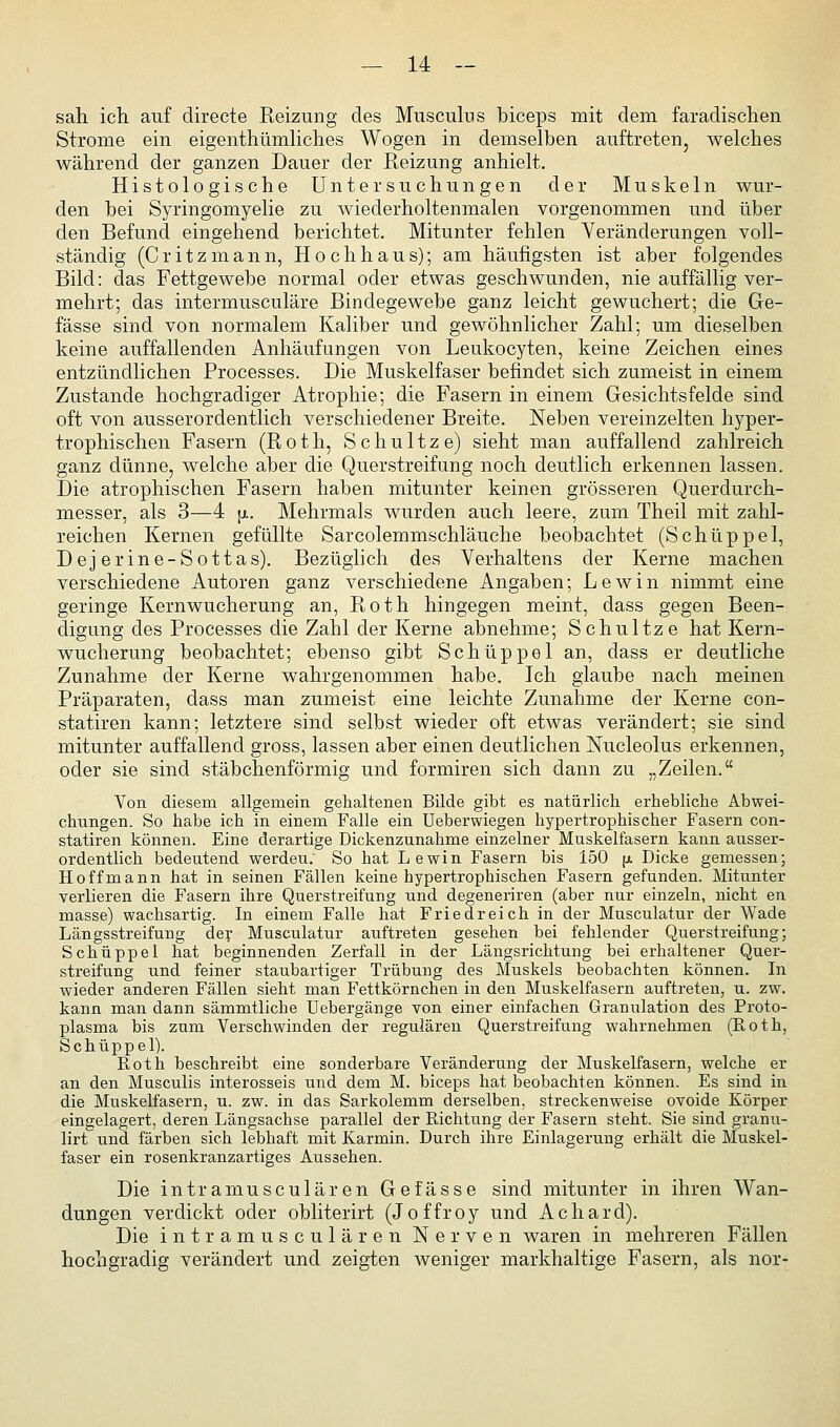 sah ich auf directe Reizung des Musculus biceps mit dem faradischen Strome ein eigenthümhches Wogen in demselben auftreten, welches während der ganzen Dauer der Reizung anhielt. Histologische Untersuchungen der Muskeln wur- den bei Syringomyelie zu wiederholtenmalen vorgenommen und über den Befund eingehend berichtet. Mitunter fehlen Veränderungen voll- ständig (Critzmann, Hochhaus); am häufigsten ist aber folgendes Bild: das Fettgewebe normal oder etwas geschwunden, nie auffällig ver- mehrt; das intermusculäre Bindegewebe ganz leicht gewuchert; die Ge- fässe sind von normalem Kaliber und gewöhnlicher Zahl; um dieselben keine auffallenden Anhäufungen von Leukocyten, keine Zeichen eines entzündlichen Processes. Die Muskelfaser befindet sich zumeist in einem Zustande hochgradiger Atrophie; die Fasern in einem Gesichtsfelde sind oft von ausserordentlich verschiedener Breite. Neben vereinzelten hyper- trophischen Fasern (Roth, Schnitze) sieht man auffallend zahlreich ganz dünne, welche aber die Querstreifung noch deutlich erkennen lassen. Die atrophischen Fasern haben mitunter keinen grösseren Querdurch- messer, als 3—4 JA. Mehrmals wurden auch leere, zum Theil mit zahl- reichen Kernen gefüllte Sarcolemmschläuche beobachtet (Schüppel, Dejerine-Sottas). Bezüglich des Verhaltens der Kerne machen verschiedene Autoren ganz verschiedene Angaben; Lewin nimmt eine geringe Kernwucherung an, Roth hingegen meint, dass gegen Been- digung des Processes die Zahl der Kerne abnehme; Schnitze hat Kern- wucherung beobachtet; ebenso gibt Schüppel an, dass er deutliche Zunahme der Kerne wahrgenommen habe. Ich glaube nach meinen Präparaten, dass man zumeist eine leichte Zunahme der Kerne con- statiren kann; letztere sind selbst wieder oft etwas verändert; sie sind mitunter auffallend gross, lassen aber einen deutlichen Nucleolus erkennen, oder sie sind stäbchenförmig und formiren sich dann zu „Zeilen. Von diesem allgemein gehaltenen Bilde gibt es natürlich erhebliche Abwei- chungen. So habe ich in einem Falle ein üeberwiegen hypertrophischer Fasern con- statiren können. Eine derartige Dickenzunahme einzelner Muskelfasern kann ausser- ordentlich bedeutend werdeu; So hat Lewin Fasern bis 150 [l Dicke gemessen; Hoff mann hat in seinen Fällen keine hypertrophischen Fasern gefunden. Mitunter verlieren die Fasern ihre Querstreifung und degeneriren (aber nur einzeln, nicht en masse) wachsartig. In einem Falle hat Friedreich in der Musculatur der Wade Längsstreifung de:^ Musculatur auftreten gesehen bei fehlender Querstreifung; Schüppel hat beginnenden Zerfall in der Längsrichtung bei erhaltener Quer- streifung und feiner staubartiger Trübung des Muskels beobachten können. In wieder anderen Fällen sieht man Fettkörnchen in den Muskelfasern auftreten, u. zw. kann man dann sämmtliche Uebergänge von einer einfachen Granulation des Proto- plasma bis zum Verschwinden der regulären Querstreifung wahrnehmen (Roth, Schüppel). Roth beschreibt eine sonderbare Veränderung der Muskelfasern, welche er an den Musculis interosseis und dem M. biceps hat beobachten können. Es sind in die Muskelfasern, u. zw. in das Sarkolemm derselben, streckenweise ovoide Körper eingelagert, deren Längsachse parallel der Richtung der Fasern steht. Sie sind granu- lirt und färben sich lebhaft mit Karmin. Durch ihre Einlagerung erhält die Muskel- faser ein rosenkranzartiges Aussehen. Die intramusculären Gefässe sind mitunter in ihren Wan- dungen verdickt oder obliterirt (Joffroy und Achard). Die intramusculären Nerven waren in mehreren Fällen hochgradig verändert und zeigten Aveniger markhaltige Fasern, als nor-