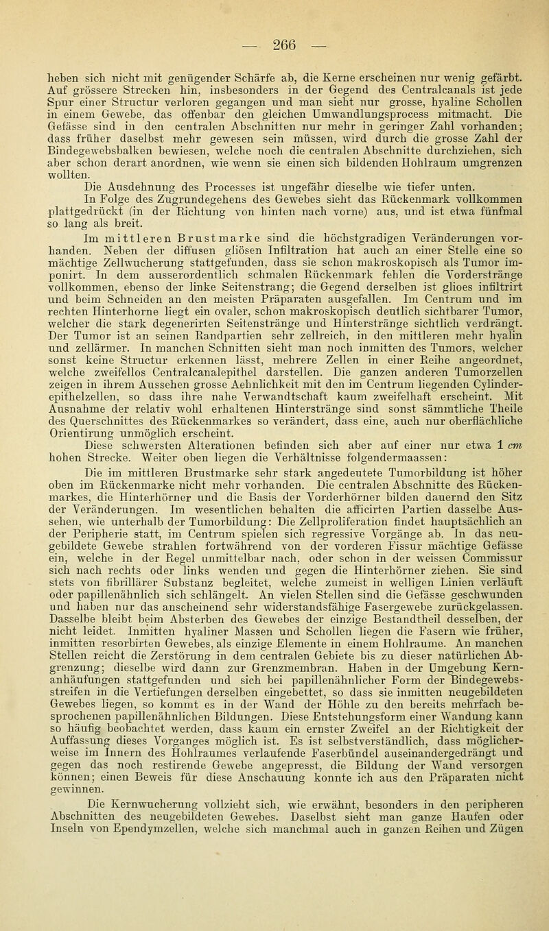 heben sich nicht mit genügender Schärfe ab, die Kerne erscheinen nur wenig gefärbt. Auf grössere Strecken hin, insbesonders in der Gegend des Centralcanals ist jede Spur einer Structur verloren gegangen und man sieht nur grosse, hyaline Schollen in einem Gewebe, das offenbar den gleichen Umwandlungsprocess mitmacht. Die Gefässe sind in den centralen Abschnitten nur mehr in geringer Zahl vorhanden; dass früher daselbst mehr gewesen sein müssen, wird durch die grosse Zahl der Bindegewebsbalken bewiesen, welche noch die centralen Abschnitte durchziehen, sich aber schon derart anordnen, wie wenn sie einen sich bildenden Hohlraum umgrenzen wollten. Die Ausdehnung des Processes ist ungefähr dieselbe wie tiefer unten. In Folge des Zugrundegehens des Gewebes sieht das E,ückenmark vollkommen plattgedrückt (in der Richtung von hinten nach vorne) aus, und ist etwa fünfmal so lang als breit. Im mittleren Brustmarke sind die höchstgradigen Veränderungen vor- handen. Neben der diffusen gliösen Infiltration hat auch an einer Stelle eine so mächtige Zellwucherung stattgefunden, dass sie schon makroskopisch als Tumor im- ponirt. In dem ausserordentlich schmalen Rückenmark fehlen die Vorderstränge vollkommen, ebenso der linke Seitenstrang; die Gegend derselben ist glioes infiltrirt und beim Schneiden an den meisten Präparaten ausgefallen. Im Centrum und im rechten Hinterhorne liegt ein ovaler, schon makroskopisch deutlich sichtbarer Tumor, welcher die stark degenerirten Seitenstränge und Hinterstränge sichtlich verdrängt. Der Tumor ist an seinen Randpartien sehr zellreich, in den mittleren mehr hyalin und zellärmer. In manchen Schnitten sieht man noch inmitten des Tumors, welcher sonst keine Structur erkennen lässt, mehrere Zellen in einer Reihe angeordnet, welche zweifellos Centralcanalepithel darstellen. Die ganzen anderen Tumorzellen zeigen in ihrem Aussehen grosse Aehnlichkeit mit den im Centrum liegenden Cylinder- epithelzellen, so dass ihre nahe Verwandtschaft kaum zweifelhaft erscheint. Mit Ausnahme der relativ wohl erhaltenen Hinterstränge sind sonst sämmtliche Theile des Querschnittes des Rückenmarkes so verändert, dass eine, auch nur oberflächliche Orientirung unmöglich erscheint. Diese schwersten Alterationen befinden sich aber auf einer nur etwa 1 cm hohen Strecke. Weiter oben liegen die Verhältnisse folgendermaassen: Die im mittleren Brustmarke sehr stark angedeutete Tumorbildung ist höher oben im Piückenmarke nicht mehr vorhanden. Die centralen Abschnitte des Rücken- markes, die Hinterhörner und die Basis der Vorderhörner bilden dauernd den Sitz der Veränderungen. Im wesentlichen behalten die afficirten Partien dasselbe Aus- sehen, wie unterhalb der Tumorbildung: Die Zellproliferation findet hauptsächlich an der Peripherie statt, im Centrum spielen sich regressive Vorgänge ab. In das neu- gebildete Gewebe strahlen fortwährend von der vorderen Fissur mächtige Gefässe ein, welche in der Regel unmittelbar nach, oder schon in der weissen Commissur sich nach rechts oder links wenden und gegen die Hinterhörner ziehen. Sie sind stets von fibrillärer Substanz begleitet, welche zumeist in welligen Linien verläuft oder papillenähnlich sich schlängelt. An vielen Stollen sind die Gefässe geschwunden und haben nur das anscheinend sehr widerstandsfähige Fasergewebe zurückgelassen. Dasselbe bleibt beim Absterben des Gewebes der einzige Bestandtheil desselben, der nicht leidet. Inmitten hyaliner Massen und Schollen liegen die Fasern wie früher, inmitten resorbirten Gewebes, als einzige Elemente in einem Hohlräume. An manchen Stellen reicht die Zerstörung in dem centralen Gebiete bis zu dieser natürlichen Ab- grenzung; dieselbe wird dann zur Grenzmembran. Haben in der Umgebung Kern- anhäufungen stattgefunden und sich bei papillenähnlicher Form der Bindegewebs- streifen in die Vertiefungen derselben eingebettet, so dass sie inmitten neugebildeten Gewebes liegen, so kommt es in der Wand der Höhle zu den bereits mehrfach be- sprochenen papillenähnlichen Bildungen. Diese Entstehungsform einer Wandung kann so häufig beobachtet werden, dass kaum ein ernster Zweifel an der Richtigkeit der Auffassung dieses Vorganges möglich ist. Es ist selbstverständlich, dass möglicher- weise im Innern des Hohlraumes verlaufende Faserbündel auseinandergedrängt und gegen das noch restirende Gewebe angepresst, die Bildung der Wand versorgen können; einen Beweis für diese Anschauung konnte ich aus den Präparaten nicht gewinnen. Die Kernwucherung vollzieht sich, wie erwähnt, besonders in den peripheren Abschnitten des neugebildeten Gewebes. Daselbst sieht man ganze Haufen oder Inseln von Ependymzellen, welche sich manchmal auch in ganzen Reihen und Zügen