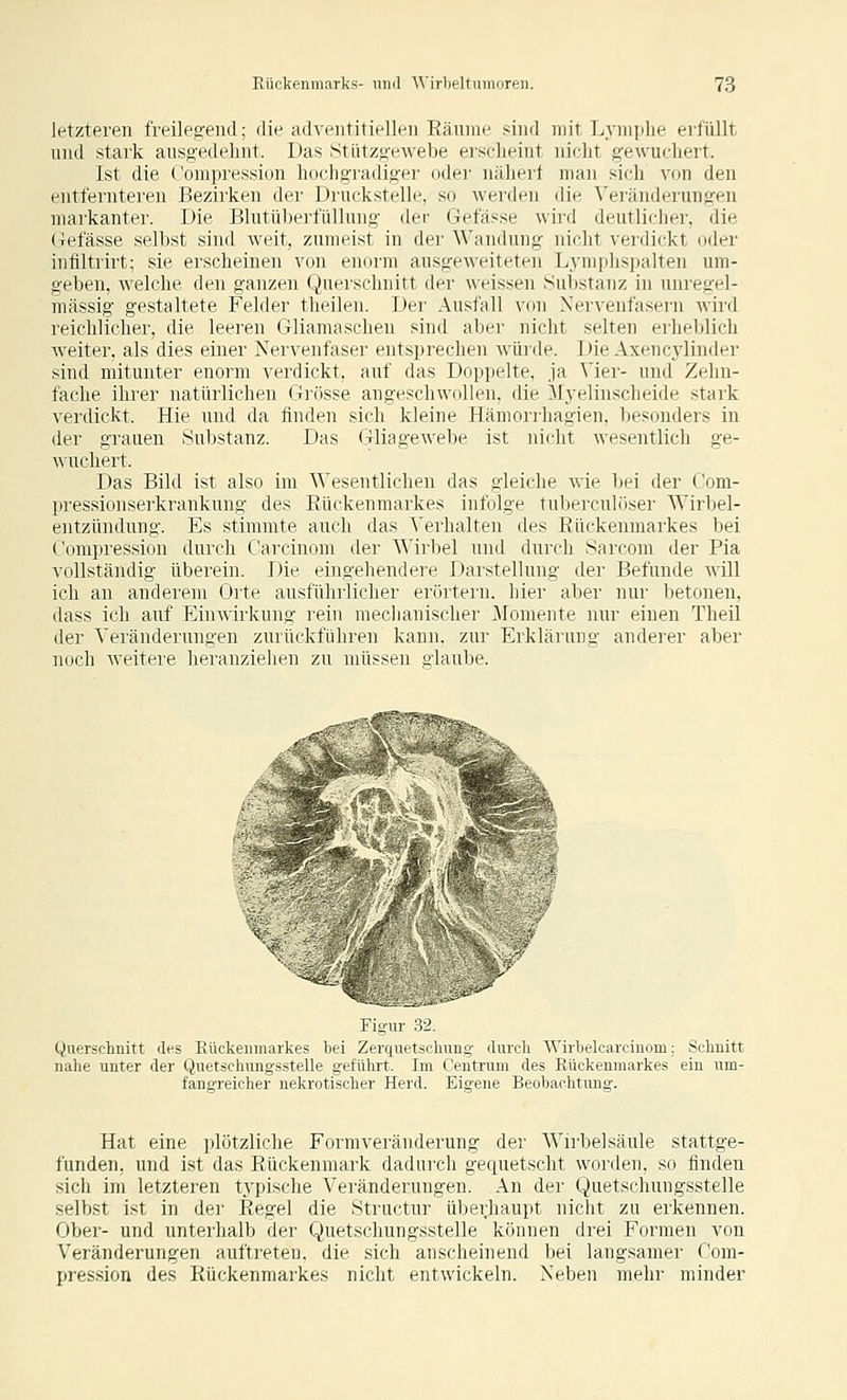 letzteren freileg'end; die adveiititielleii Räume sind mit Lymphe erfüllt und stark ausgedehnt. Das Stützg-ewebe erscheint nicht gewuchert. Ist die ('ompression hochgradiger oder nähert man sich von den entfernteren Bezirken der Druckstelle, so werden die Veränderungen markanter. Die Blutüberfüllung der Gefässe wird deutlicher, die «iefässe selbst sind weit, zumeist in der Wandung nicht verdickt oder infiltrirt; sie erscheinen von enorm ausgeweiteten Lymphspalten um- geben, welche den ganzen Querschnitt der weissen Substanz in unregel- mässig gestaltete Felder theilen. Der Ausfall von Nervenfasern wird reichlicher, die leeren Gliamaschen sind aber nicht selten erheblich weiter, als dies einer Nervenfaser entsprechen Avürde. Die Axencylinder sind mitunter enorm verdickt, auf das Doppelte, ja Vier- und Zehn- fache ihrer natürlichen Grösse augeschwollen, die Myelinscheide stark verdickt. Hie und da finden sich kleine Hämorrhagien, besonders in der grauen Substanz. Das (jliagewebe ist nicht wesentlich ge- wuchert. Das Bild ist also im Wesentlichen das gleiche wie bei der Com- pressionserkrankung des Rückenmarkes infolge tuberculöser Wirbel- entzündung. Es stimmte auch das Verhalten des Rückenmarkes bei Ciinipressinn durch Carcinom der Wirbel und durch Sarcom der Pia vollständig überein. Die eingehendere Darstellung der Befunde will ich an anderem Orte ausführlicher erörtern, hier aber nur l^etonen, dass ich auf Einwirkung rein mechanischer Momente nur einen Theil der Veränderungen zurückführen kann, zur Erkläriuig anderer aber noch weitere heranzielien zu müssen glaube. Querschnitt des Eückenmarkes bei Zerquetsclumg durch Wirbeloarciuom; Schnitt nahe unter der Quetschungsstelle geführt. Im Centrum des Rückenmarkes ein um- fangreicher nekrotischer Herd. Eigene Beobachtung. Hat eine plötzliche Formveränderung der Wirbelsäule stattge- funden, und ist das Rückenmark dadui'ch gequetscht worden, so finden sich im letzteren typische Veränderungen. An der Quetschungsstelle selbist ist in der Regel die .Structur überhaupt nicht zu erkennen. Ober- und unterhalb der Quetschungsstelle können drei Formen von Veränderungen auftreten, die sich anscheinend bei langsamer Com- pression des Rückenmarkes nicht entwickeln. Neben mehr minder
