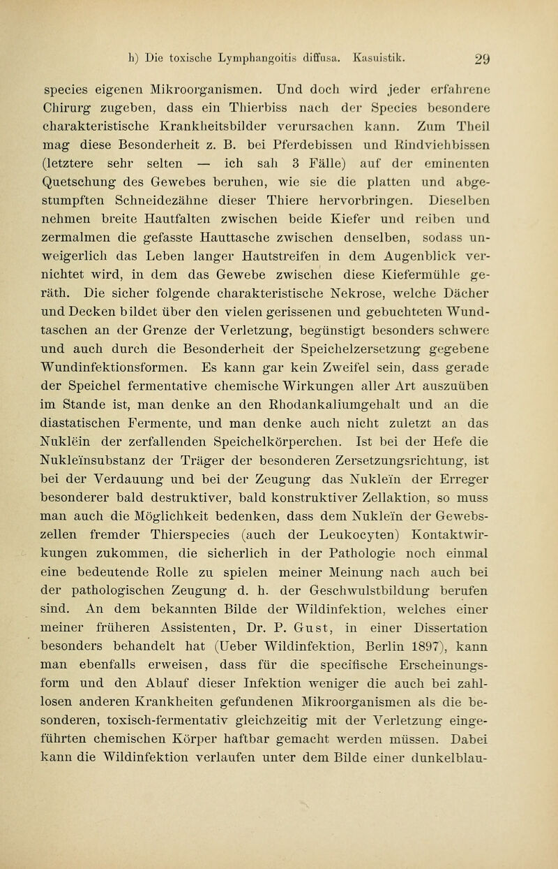 species eigenen Mikroorganismen. Und doch wird jeder erfahrene Chirurg zugeben, dass ein Tiiiei'biss nach der tSpecies besondere charakteristische Krankheitsbilder verursachen kann. Zum Theil mag diese Besonderheit z. B. bei Pferdebissen und Kindviehbissen (letztere sehr selten — ich sah 3 Fälle) auf der eminenten Quetschung des Gewebes beruhen, wie sie die platten und abge- stumpften Schneidezähne dieser Thiere hervorbringen. Dieselben nehmen breite Hautfalten zwischen beide Kiefer und reiben und zermalmen die gefasste Hauttasche zwischen denselben, sodass un- weigerlich das Leben langer Hautstreifen in dem Augenblick ver- nichtet wird, in dem das Gewebe zwischen diese Kiefermühle ge- räth. Die sicher folgende charakteristische Nekrose, welche Dächer und Decken bildet über den vielen gerissenen und gebuchteten Wund- taschen an der Grenze der Verletzung, begünstigt besonders schwere und auch durch die Besonderheit der Speichelzersetzung gegebene Wundinfektionsformen. Es kann gar kein Zweifel sein, dass gerade der Speichel fermentative chemische Wirkungen aller Art auszuüben im Stande ist, man denke an den Ehodankaliumgehalt und an die diastatischen Fermente, und man denke auch nicht zuletzt an das ISTuklein der zerfallenden Speichelkörperchen. Ist bei der Hefe die Nukleinsubstanz der Träger der besonderen Zersetzungsrichtung, ist bei der Verdauung und bei der Zeugung das Nuklein der Erreger besonderer bald destruktiver, bald konstruktiver Zellaktion, so muss man auch die Möglichkeit bedenken, dass dem Nuklein der Gewebs- zellen fremder Thierspecies (auch der Leukocyten) Kontaktwir- kungen zukommen, die sicherlich in der Pathologie noch einmal eine bedeutende Rolle zu spielen meiner Meinung nach auch bei der pathologischen Zeugung d. h. der Geschwulstbildung berufen sind. An dem bekannten Bilde der Wildinfektion, welches einer meiner früheren Assistenten, Dr. P, Gust, in einer Dissertation besonders behandelt hat (üeber Wildinfektion, Berlin 1897), kann man ebenfalls erweisen, dass für die speciflsche Erscheinungs- form und den Ablauf dieser Infektion weniger die auch bei zahl- losen anderen Krankheiten gefundenen Mikroorganismen als die be- sonderen, toxisch-fermentativ gleichzeitig mit der Verletzung einge- führten chemischen Körper haftbar gemacht werden müssen. Dabei kann die Wildinfektion verlaufen unter dem Bilde einer dunkelblau-