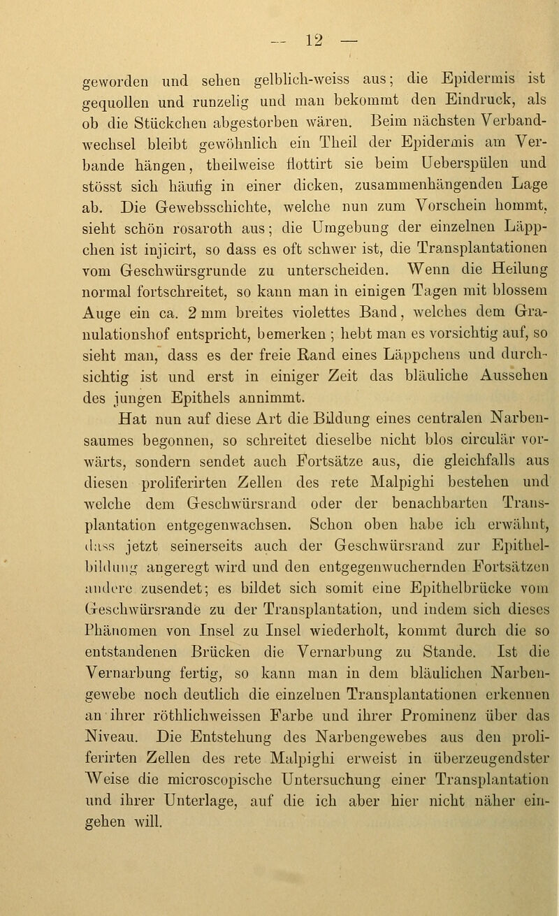 geworden und sehen gelblich-weiss aus; die Epidermis ist gequollen und runzelig und man bekommt den Eindruck, als | ob die Stückchen abgestorben wären. Beim nächsten Verband- ; Wechsel bleibt gewöhnlich ein Theil der Epidermis am Ver- ; bände hängen, theilweise flottirt sie beim üeberspülen und ■ stösst sich häufig in einer dicken, zusammenhängenden Lage 1 ab. Die Gewebsschichte, welche nun zum Vorschein hommt, [ sieht schön rosaroth aus; die Umgebung der einzelnen Läpp- chen ist injicirt, so dass es oft schwer ist, die Transplantationen 'i vom Geschwürsgrunde zu unterscheiden. Wenn die Heilung | normal fortschreitet, so kann man in einigen Tagen mit blossem | Auge ein ca. 2 mm breites violettes Band, welches dem Gra- ' nulationshof entspricht, bemerken ; hebt man es vorsichtig auf, so : sieht man, dass es der freie Rand eines Läppchens und durch- ! sichtig ist und erst in einiger Zeit das bläuliche Aussehen [ des jungen Epithels annimmt. i Hat nun auf diese Art die Bildung eines centralen Narben- ; saumes begonnen, so schreitet dieselbe nicht blos circulär vor- ; wärts, sondern sendet auch Fortsätze aus, die gleichfalls aus \ diesen proliferirten Zellen des rete Malpighi bestehen und : welche dem Geschwürsrand oder der benachbarten Trans- ] plantation entgegenwachsen. Schon oben habe ich erwähnt, ,j ihiss jetzt seinerseits auch der Geschwürsrand zur Epithel- bild m ig angeregt wird und den entgegenwuchernden Fortsätzen andere zusendet; es bildet sich somit eine Epithelbrücke vom Geschwürsrande zu der Transplantation, und indem sich dieses Phänomen von Insel zu Insel wiederholt, kommt durch die so entstandenen Brücken die Vernarbung zu Stande. Ist die Vernarbung fertig, so kann man in dem bläulichen Narben- ' gewebe noch deutlich die einzelnen Transplantationen erkennen 1 an ihrer röthlichweissen Farbe und ihrer Prominenz über das ■ Niveau. Die Entstehung des Narbengewebes aus den proli- ferirten Zellen des rete Malpighi erweist in überzeugendster Weise die microscopische Untersuchung einer Transplantation und ihrer Unterlage, auf die ich aber hier nicht näher ein- gehen will.