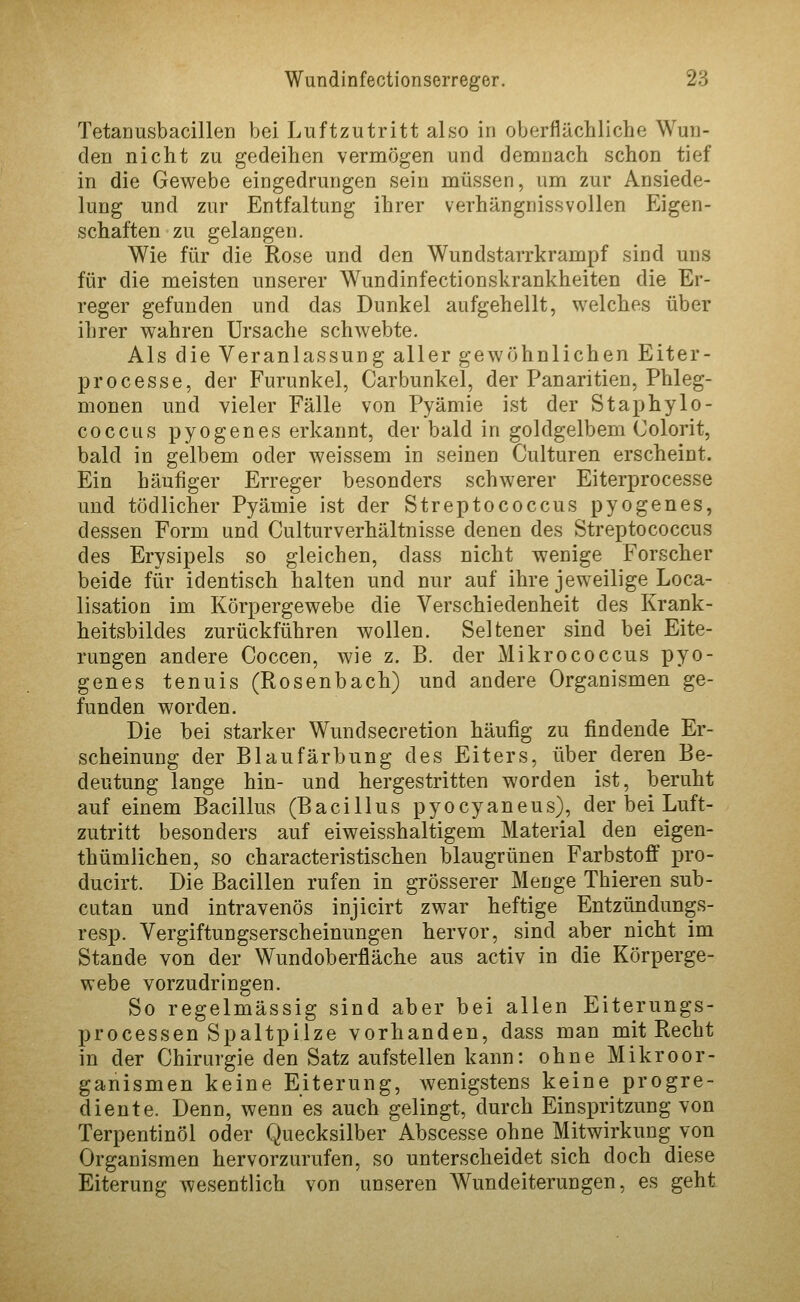 TetaDusbacillen bei Luftzutritt also in oberflächliche Wun- den nicht zu gedeihen vermögen und demnach schon tief in die Gewebe eingedrungen sein müssen, um zur Ansiede- lung und zur Entfaltung ihrer verhängnissvollen Eigen- schaften zu gelangen. Wie für die Rose und den Wundstarrkrampf sind uns für die meisten unserer Wundinfectionskrankheiten die Er- reger gefunden und das Dunkel aufgehellt, welches über ihrer wahren Ursache schwebte. Als die Veranlassung aller gewöhnlichen Eiter- processe, der Furunkel, Carbunkel, der Pauaritien, Phleg- monen und vieler Fälle von Pyämie ist der Staphylo- coccus pyogenes erkannt, der bald in goldgelbem Colorit, bald in gelbem oder weissem in seinen Culturen erscheint. Ein häufiger Erreger besonders schwerer Eiterprocesse und tödlicher Pyämie ist der Streptococcus pyogenes, dessen Form und Culturverhältnisse denen des Streptococcus des Erysipels so gleichen, dass nicht wenige Forscher beide für identisch halten und nur auf ihre jeweilige Loca- lisation im Körpergewebe die Verschiedenheit des Krank- heitsbildes zurückführen wollen. Seltener sind bei Eite- rungen andere Coccen, wie z. B. der Mikrococcus pyo- genes tenuis (Rosenbach) und andere Organismen ge- funden worden. Die bei starker Wundsecretion häufig zu findende Er- scheinung der Blaufärbung des Eiters, über deren Be- deutung lange hin- und hergestritten worden ist, beruht auf einem Bacillus (Bacillus pyocyaneus), der bei Luft- zutritt besonders auf eiweisshaltigem Material den eigen- thümlichen, so characteristischen blaugrünen Farbstoff pro- ducirt. Die Bacillen rufen in grösserer Menge Thieren sub- cutan und intravenös injicirt zwar heftige Entzündungs- resp. Vergiftungserscheinungen hervor, sind aber nicht im Stande von der Wundoberfläche aus activ in die Körperge- webe vorzudringen. So regelmässig sind aber bei allen Eiterungs- processen Spaltpilze vorhanden, dass man mit Recht in der Chirurgie den Satz aufstellen kann: ohne Mikroor- ganismen keine Eiterung, wenigstens keine progre- diente. Denn, wenn es auch gelingt, durch Einspritzung von Terpentinöl oder Quecksilber Abscesse ohne Mitwirkung von Organismen hervorzurufen, so unterscheidet sich doch diese Eiterung wesentlich von unseren Wundeiterungen, es geht