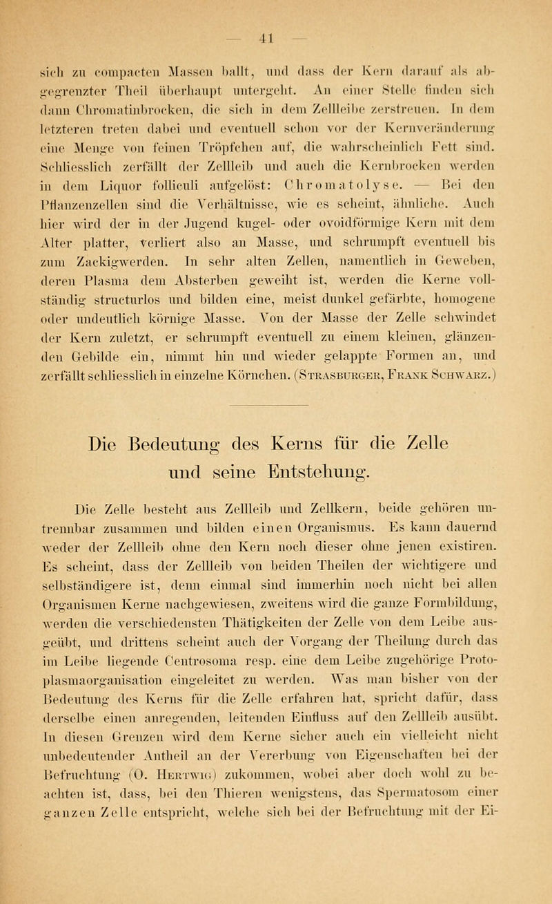 11 sich zu compacten Massen ballt, und dass der Kern darauf als ab- gegrenzter Theil überhaupl untergeht. An einer stelle finden sich dann Chromatinbrocken, die sich in dem Zellleibe zerstreuen. In dem letzteren treten dabei und eventuell Bcbon vor der Kernveränderung eine Menge von feinen Tröpfchen auf, die wahrscheinlich Fett sind. Schliesslich zerfällt der Zellleib und auch die Kernbrocken werden in dem Liquor folliculi aufgelöst: Chromatolyse. Bei den Pflanzenzellen sind die Verhältnisse, wie es scheint, ähnliche. Auch hier wird der in der Jugend kugel- oder ovoidförmige Kern mit dem Alter platter, verliert also an Masse, und schrumpft eventuell bis zum Zackigwerden. In sehr alten Zellen, namentlich in Geweben, deren Plasma dem Absterben geweiht ist, werden die Kerne voll- ständig structurlos und bilden eine, meist dunkel gefärbte, homogene oder undeutlich körnige Masse. Von der Masse der Zelle schwindet der Kern zuletzt, er schrumpft eventuell zu einem kleinen, glänzen- den Gebilde ein, nimmt hin und wieder gelappte Formen an, und zerfällt schliesslich in einzelne Körnchen. (»Strasburger, Frank .Schwarz.) Die Bedeutung des Kerns für die Zelle und seine Entstehung. Die Zelle besteht aus Zellleib und Zellkern, beide gehören un- trennbar zusammen und bilden einen Organismus. Fs kann dauernd weder der Zellleib ohne den Kern noch dieser ohne jenen existiren. Fs scheint, dass der Zellleib von beiden Theilen der wichtigere und selbständigere ist, denn einmal sind immerhin noch nicht bei allen Organismen Kerne nachgewiesen, zweitens wird die ganze Formbildung, werden die verschiedensten Thätigkeiten der Zelle von dem Leibe aus- geübt, und drittens scheint auch der Vorgang der Theilung durch das im Leibe liegende Centrosoma res}), eine dem Leibe zugehörige Proto- plasmaorganisation eingeleitet zu werden. Was man bisher von der Bedeutung des Kerns für die Zelle erfahren hat, spricht dafür, dass derselbe einen anregenden, leitenden Fintiuss auf den Zellleih ausübt. In diesen Grenzen wird dem Kerne sicher auch ein vielleicht nicht unbedeutender Antheil an der Vererbung von Eigenschaften bei der Befruchtung (0. Hertwig) zukommen, wobei aber doch wohl zu be- achten ist, dass, hei den Thieren wenigstens, das Spermatosom einer ganzen Zelle entspricht, welche sich hei der Befruchtung mit der Fi-