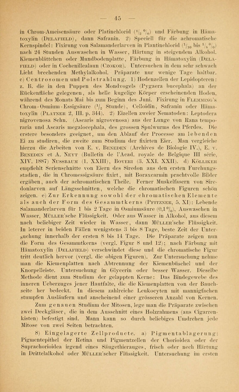 in Chrom-Ameisensäure oder Platinchlorid ('/, °/0) und Färbung in Häma- toxylin (Delafield), dann Safranin. 2) Speciell für die achromatische Kernspindel: Fixirung von Salamanderlarven in Plantinchlorid (1/10 Ins ' 8°/0) nach 24 Stunden Auswaschen in Wasser, Eärtung in steigendem Alkohol. Kiemenblättchen oder Mundbodenplatte, Färbung in Bämatoxylin (Dela- field) oder in Cochenillealaun (Czokor). untersuchen in dein sehr schwach Licht brechenden Methylalkohol. Präparate nur wenige Tage haltbar. ci Ceritrosomen and Polstrahlung. 1) Eodenzellen der Lepidopteren: z. B. die in den Puppen des Mondvogels (Pygaera bucephala) an der Rückennache gelegenen, als helle kugelige Körper erscheinenden Hoden, während des .Monats .Mai bis zum Beginn des Juni. Fixirung in Flemmng's Chrom-Osmium-Essigsäure (1/2 Stunde), Celloidin, Safranin oder Häma- toxylin (Platner 2, 111. p. 344). 2) Eizellen zweier Nematoden: Leptodera nigrovenosa Sehn. (Ascaris nigrovenosa) aus der Lunge von Rana tempo- raria und Ascaris megaloeephala, des grossen Spulwurms des Pferdes. Die erstere besonders geeignet, um den Ablauf der Processe am leitenden Ei zu studiren, die zweite zum Studium der fixirten Eier. Man vergleiche hierzu die Arbeiten von E. v. Beneden (Archives de Biologie IV.), E. v. Beneden et A. Neyt (Bulletin de l'Acad. royale de Belgique III serie, XIV. 1887) Nussbaum (1. XXIII), Boveri (3. XXI. XXII). d) Küllikkk empfiehlt Serienschnitte von Eiern des Siredon aus den ersten Furchungs- Btadien, die in ('hromessigsäure fixirt, mit Boraxcarmin prachtvolle Bilder ergäben, auch der achromatischen Theile. Ferner Muskelfasern von Sire- donlarven auf Längsschnitten, welche die chromatischen Figuren schön zeigen, e) Zur Erkennung sowohl der chromatischen Elemente als auch der Form des Gesammtkerns (Pfitzxer, 5. XI): Lebende Salamanderlarven für 1 bis 2 Tage in Osmiumsäure (0,1 °/0), Auswaschen in Wasser, MüLLER'sche Flüssigkeit. Oder aus Wasser in Alkohol, aus diesem nach beliebiger Zeit wieder in Wasser, dann MüLLER'sche Flüssigkeit. In leterer in beiden Fällen wenigstens 3 bis 8 Tage, beste Zeit der Unter- suchung innerhalb der ersten 8 bis 14 Tage. Die Präparate zeigen nun die Form des Gesammtkerns (vergl. Figur 8 und 12): nach Färbung mit Hämatoxylin (Delafield) verschwindet diese und die chromatische Figur tritt deutlich hervor (vergl. die obigen Figuren). Zur Untersuchung nehme man die Kiemenplatten nach Alttrennung der Kiemenbüsche] und der Knorpelleiste. Untersuchung in Glycerin oder besser Wasser. Dieselbe Methode dient zum Studium der gelappten Kerne: Das Bindegewebe des inneren Ueberzuges jener Hautfalte, die die Kiemenplatten von der Bauch- seite her bedeckt. In diesem zahlreiche Leukocyten mit mannigfachen Stumpfen Ausläufern und anscheinend einer grösseren Anzahl von Kernen. Zum genauen Studium der Mitosen, lege man die Präparate zwischen zwei Deckgläser, die in dem Ausschnitt eines Holzrahmens (aus Cigarren- kisten) befestigt sind. Mann kann so durch beliebiges Umdrehen jede Mitose von zwei Seiten betrachten. 8) Eingelagerte Zellproducte. a) Pigmentablagerung: Pigmentepithel der Retina und Pigmentzellen der Chorioidea oder der Suprachorioidea irgend eines Säugethierauges, frisch oder necb Härtung in Drittelalkohol oder MüLLER'scher Flüssigkeit. Untersuchung im ersten