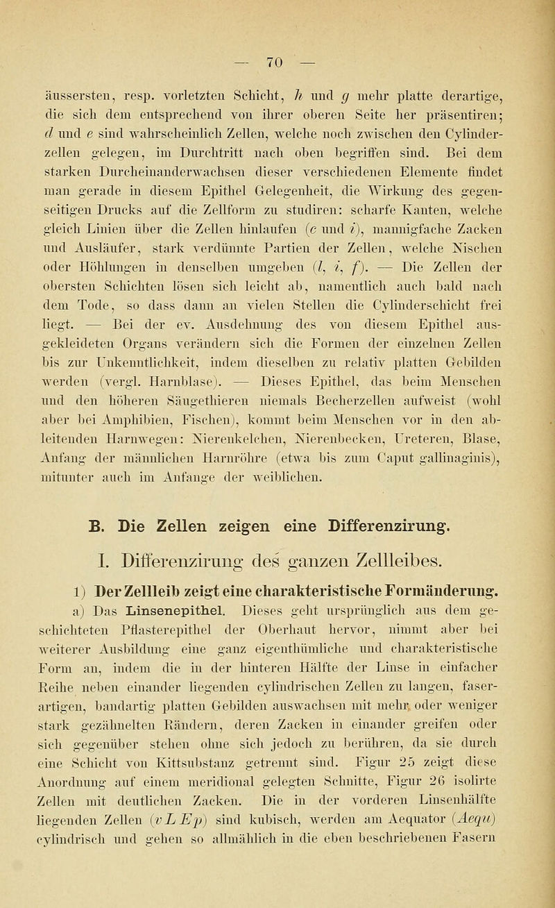 äussersten, resp. vorletzten Schicht, h und g mehr platte derartige, die sich dem entsprechend von ihrer oberen Seite her präsentiren; d imd e sind wahrscheinlich Zellen, welche noch zwischen den Cylinder- zellen gelegen, im Durchtritt nach oben begriffen sind. Bei dem starken Durcheinanderwachsen dieser verschiedenen Elemente findet man gerade in diesem Epithel Gelegenheit, die Wirkung des gegen- seitigen Drucks auf die Zellform zu studiren: scharfe Kanten, welche gleich Linien über die Zellen hinlaufen (c und *'), mannigfache Zacken und Ausläufer, stark verdünnte Partien der Zellen, welche Nischen oder Höhlungen in denselben umgeben (/, «', f). — Die Zellen der obersten Schichten lösen sich leicht ab, namentlich auch bald nach dem Tode, so dass dann an vielen Stellen die Cylinderschicht frei liegt. — Bei der ev. Ausdehnung des von diesem Epithel aus- gekleideten Organs verändern sich die Formen der einzelnen Zellen bis zur Unkenntlichkeit, indem dieselben zu relativ platten Gebilden werden (vergl. Harnblase). — Dieses Epithel, das beim Menschen und den höheren Säugethieren niemals Becherzellen aufweist (wohl aber bei Amphibien, Fischen), kommt beim Menschen vor in den ab- leitenden Harnwegen: Nierenkelehen, Nierenbecken, Ureteren, Blase, Anfang der männlichen Harnröhre (etwa bis zum Caput gallinaginis), mitunter auch im Anfange der weiblichen. B. Die Zellen zeigen eine Differenzirung. I. Differenzirung des ganzen Zellleibes. 1) Der Zellleifo zeigt eine charakteristische Formänderung. a) Das Linsenepithel. Dieses geht ursprünglich aus dem ge- schichteten Pflasterepithel der Oberhaut hervor, nimmt aber bei weiterer Ausbildung eine ganz eigenthümliche und charakteristische Form an, indem die in der hinteren Hälfte der Linse in einfacher Pteihe neben einander liegenden cylindrischen Zellen zu langen, faser- artigen, bandartig platten Gebilden auswachseii mit mehr, oder weniger stark gezähnelten Rändern, deren Zacken in einander greifen oder sich gegenüber stehen ohne sich jedoch zu berühren, da sie durch eine Schicht von Kittsubstanz getrennt sind. Figur 25 zeigt diese Anordnung auf einem meridional gelegten Schnitte, Figur 26 isolirte Zellen mit deutlichen Zacken. Die in der vorderen Linsenhälfte liegenden Zellen (vLJEp) sind kubisch, werden am Aequator (Aequ) cylindrisch und gehen so allmählich in die eben beschriebenen Fasern