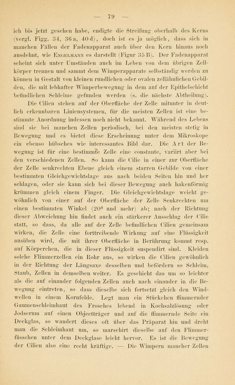 ich bis jetzt gesehen habe, endigte die Streifimg oberhalb des Kerns (vergl. Figg. 34, .>(>a, 40d), doch ist es ja möglich, <l;tss sich in manchen Füllen der Fadenapparat auch über den Kern hinaus noch ausdehnt, wie Engelmann es darstellt (Figur :;.> I> . Der Fadenapparat scheint sieh unter Umständen auch im Leben von dem übrigen Zell- körper trennen und sammt dem Wimperapparate selbständig werden zu können in Gestalt von kleinen rundlichen oder ovalen zellähnlichen Gebil- den, die mit lebhafter Wimperbewegung in dem auf der Epithelschicht befindlichen Schleime gefunden werden 's. die nächste Abtheilung). Die Cilien stehen auf der Oberfläche der Zelle mitunter in deut- lich erkennbaren Liniensystemen, für die meisten Zellen ist eine be- stimmte Anordnung- indessen noch nicht bekannt. Während des Lehens sind sie bei manchen Zellen periodisch, bei den meisten stetig in Bewegung und es bietet diese Erscheinung unter dem Mikroskope ein ebenso hübsches wie interessantes Bild dar. Die Art der Be- wegung ist für eine bestimmte Zelle eine constante, variirt aber bei den verschiedenen Zellen. 80 kann die Cilie in einer zur Oberfläche der Zelle senkrechten Ebene gleich einem starren Gebilde von einer bestimmten Gleichgewichtslage aus nach beiden Seiten hin und her schlagen, oder sie kann sich bei dieser Bewegung auch hakenförmig krümmen gleich einem Finger. Die Gleichgewichtslage weicht ge- wöhnlich von einer auf der Oberfläche der Zelle Senkrechten um einen bestimmten Winkel (20° und mehrj ab; nach der Richtung dieser Abweichung hin findet auch ein stärkerer Ausschlag der Cilie statt, so class, da alle auf der Zelle befindlichen Cilien gemeinsam wirken, die Zelle eine forttreibende Wirkung auf eine Flüssigkeit ausüben wird, die mit ihrer Oberfläche in Berührung kommt resp. auf Körperchen, die in dieser Flüssigkeit suspendirt sind. Kleiden solche Flimmerzellen ein Rohr aus, so wirken die Cilien gewöhnlich in der Richtung der Längsaxe desselben und befördern so Schleim, Staub, Zellen in demselben weiter. Es geschieht das um so leichter als die auf einander folgenden Zellen auch nach einander in die Be- wegung eintreten, so dass dieselbe sich fortsetzt gleich den Wiud- wellen in einem Kornfelde. Legt man ein Stückchen flimmernder Gaumenschleimhaut des Frosches lebend in Kochsalzlösung oder Jodserum auf einen Objectträger und auf die flimmernde Seite ein Deckglas, so wandert dieses oft über das Präparat hin und dreht man die Schleimhaut um, so marschirt dieselbe auf den Flimmer- füsschen unter dem Deckglase leicht hervor. Es ist die Bewegung der Cilien also eine recht kräftige. - - Die Wimpern mancher Zellen