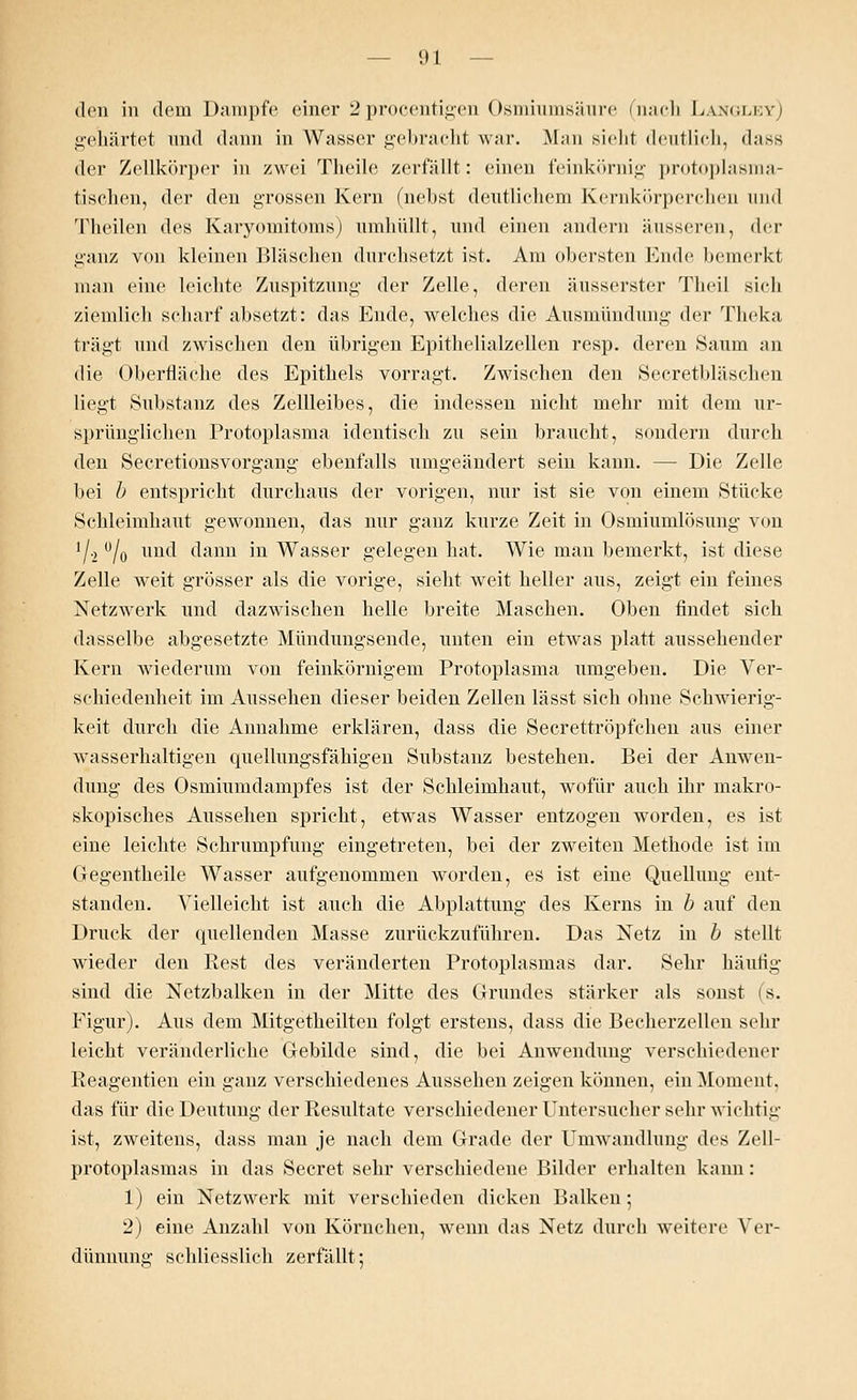 den in dem Dampfe einer 2procentigen Osmiumsäure (nach Langley) gehärtet und dann in Wasser gebracht war. Man sieht deutlich, dass der Zellkörper in zwei Theile zerfällt: einen feinkörnig protoplasma- tischen, der den grossen Kern (nebst deutlichem Kernkörperchen and Theilen des Karyomitoms) umhüllt, und einen andern äusseren, der ganz von kleinen Bläschen durchsetzt ist. Am obersten Ende bemerkt man eine leichte Zuspitzung der Zelle, deren äusserster Tlieil sich ziemlich scharf absetzt: das Ende, welches die Ausmündung der Theka trägt und zwischen den übrigen Epithelialzellen resp. deren Saum an die Oberfläche des Epithels vorragt. Zwischen den Secretbläschen liegt Substanz des Zellleibes, die indessen nicht mehr mit dem ur- sprünglichen Protoplasma identisch zu sein braucht, sondern durch den Secretionsvorgang ebenfalls umgeändert sein kann. — Die Zelle bei b entspricht durchaus der vorigen, nur ist sie von einem Stücke Schleimhaut gewonnen, das nur ganz kurze Zeit in Osmiumlösung von '/., ö/0 und dann in Wasser gelegen hat. Wie man bemerkt, ist diese Zelle weit grösser als die vorige, sieht weit heller aus, zeigt ein feines Netzwerk und dazwischen helle breite Maschen. Oben findet sich dasselbe abgesetzte Mündungsende, unten ein etwas platt aussehender Kern wiederum von feinkörnigem Protoplasma umgeben. Die Ver- schiedenheit im Aussehen dieser beiden Zellen lässt sich ohne Schwierig- keit durch die Annahme erklären, dass die Secrettröpfchen aus einer wasserhaltigen quellungsfähigen Substanz bestehen. Bei der Anwen- dung des Osmiumdampfes ist der Schleimhaut, wofür auch ihr makro- skopisches Aussehen spricht, etwas Wasser entzogen worden, es ist eine leichte Schrumpfung eingetreten, bei der zweiten Methode ist im Gegentheile Wasser aufgenommen worden, es ist eine Quellung ent- standen. Vielleicht ist auch die Abplattung des Kerns in b auf den Druck der quellenden Masse zurückzuführen. Das Netz in b stellt wieder den Rest des veränderten Protoplasmas dar. Sehr häutig sind die Netzbalken in der Mitte des Grundes stärker als sonst (s. Figur). Aus dem Mitgetheilten folgt erstens, dass die Becherzellen sehr leicht veränderliche Gebilde sind, die bei Anwendung verschiedener Reagentien ein ganz verschiedenes Aussehen zeigen können, ein Moment, das für die Deutung der Resultate verschiedener Untersucher sehr wichtig ist, zweitens, dass man je nach dem Grade der Umwandlung des Zell- protoplasmas in das Secret sehr verschiedene Bilder erhalten kann: 1) ein Netzwerk mit verschieden dicken Balken; 2) eine Anzahl von Körnchen, wenn das Netz durch weitere Ver- dünnung schliesslich zerfällt;