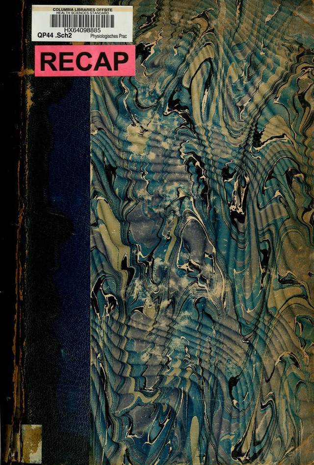 No text description is available for this image