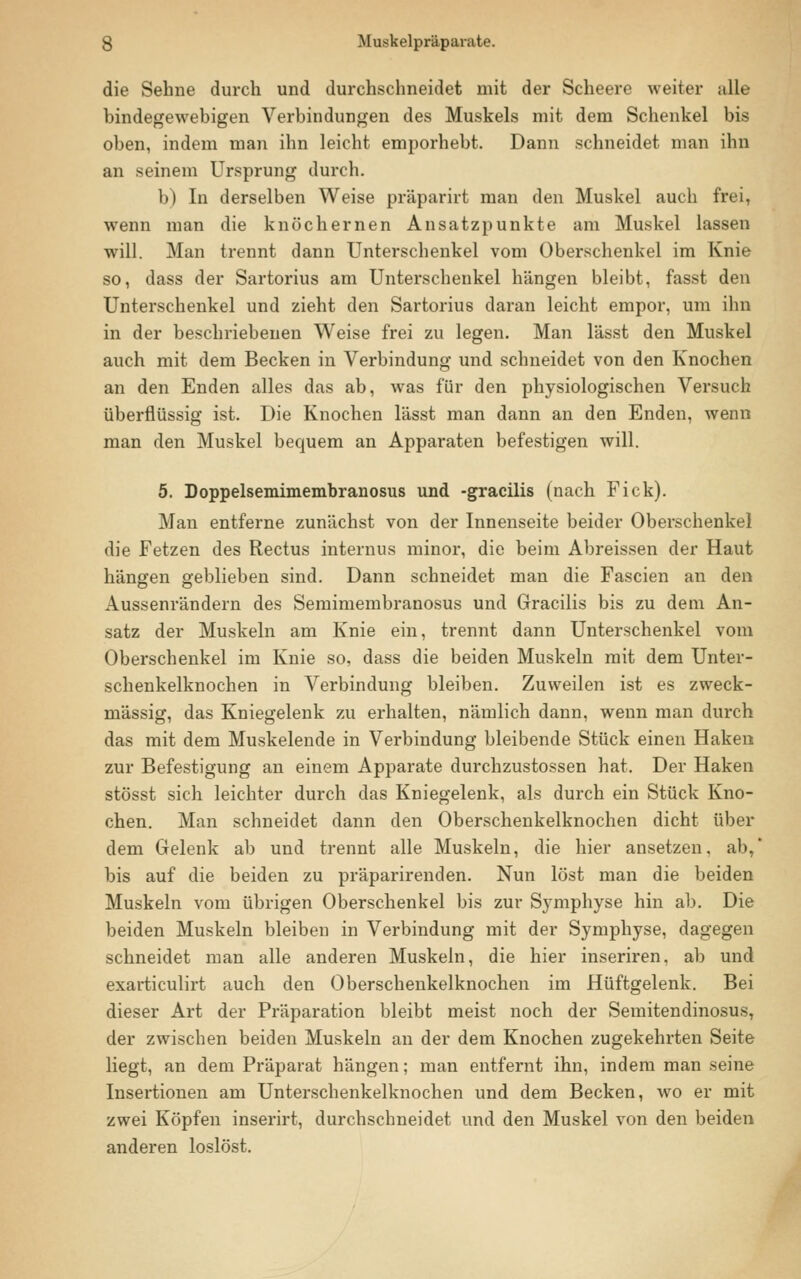 die Sehne durch und durchschneidet mit der Scheere weiter alle bindegewebigen Verbindungen des Muskels mit dem Schenkel bis oben, indem man ihn leicht emporhebt. Dann schneidet man ihn an seinem Ursprung durch. 1») In derselben Weise präparirt man den Muskel auch frei, wenn man die knöchernen Ansatzpunkte am Muskel lassen will. Man trennt dann Unterschenkel vom Oberschenkel im Knie so, dass der Sartorius am Unterschenkel hängen bleibt, fasst den Unterschenkel und zieht den Sartorius daran leicht empor, um ihn in der beschriebenen Weise frei zu legen. Man lässt den Muskel auch mit dem Becken in Verbindung und schneidet von den Knochen an den Enden alles das ab, was für den physiologischen Versuch überflüssig ist. Die Knochen lässt man dann an den Enden, wenn man den Muskel bequem an Apparaten befestigen will. 5. Doppelsemimembranosus und -gracilis (nach Fick). Man entferne zunächst von der Innenseite beider Oberschenkel die Fetzen des Rectus internus minor, die beim Abreissen der Haut hängen geblieben sind. Dann schneidet man die Fascien an den Aussenrändern des Semimembranosus und Gracilis bis zu dem An- satz der Muskeln am Knie ein, trennt dann Unterschenkel vom Oberschenkel im Knie so, dass die beiden Muskeln mit dem Unter- schenkelknochen in Verbindung bleiben. Zuweilen ist es zweck- mässig, das Kniegelenk zu erhalten, nämlich dann, wenn man durch das mit dem Muskelende in Verbindung bleibende Stück einen Haken zur Befestigung an einem Apparate durchzustossen hat. Der Haken stösst sich leichter durch das Kniegelenk, als durch ein Stück Kno- chen. Man schneidet dann den Oberschenkelknochen dicht über dem Gelenk ab und trennt alle Muskeln, die hier ansetzen, ab, bis auf die beiden zu präparirenden. Nun löst man die beiden Muskeln vom übrigen Oberschenkel bis zur Symphyse hin ab. Die beiden Muskeln bleiben in Verbindung mit der Symphyse, dagegen schneidet man alle anderen Muskeln, die hier inseriren. ab und exarticulirt auch den Oberschenkelknochen im Hüftgelenk. Bei dieser Art der Präparation bleibt meist noch der Semitendinosus, der zwischen beiden Muskeln an der dem Knochen zugekehrten Seite liegt, an dem Präparat hängen; man entfernt ihn, indem man seine Insertionen am Unterschenkelknochen und dem Becken, wo er mit zwei Köpfen inserirt, durchschneidet und den Muskel von den beiden anderen loslöst.